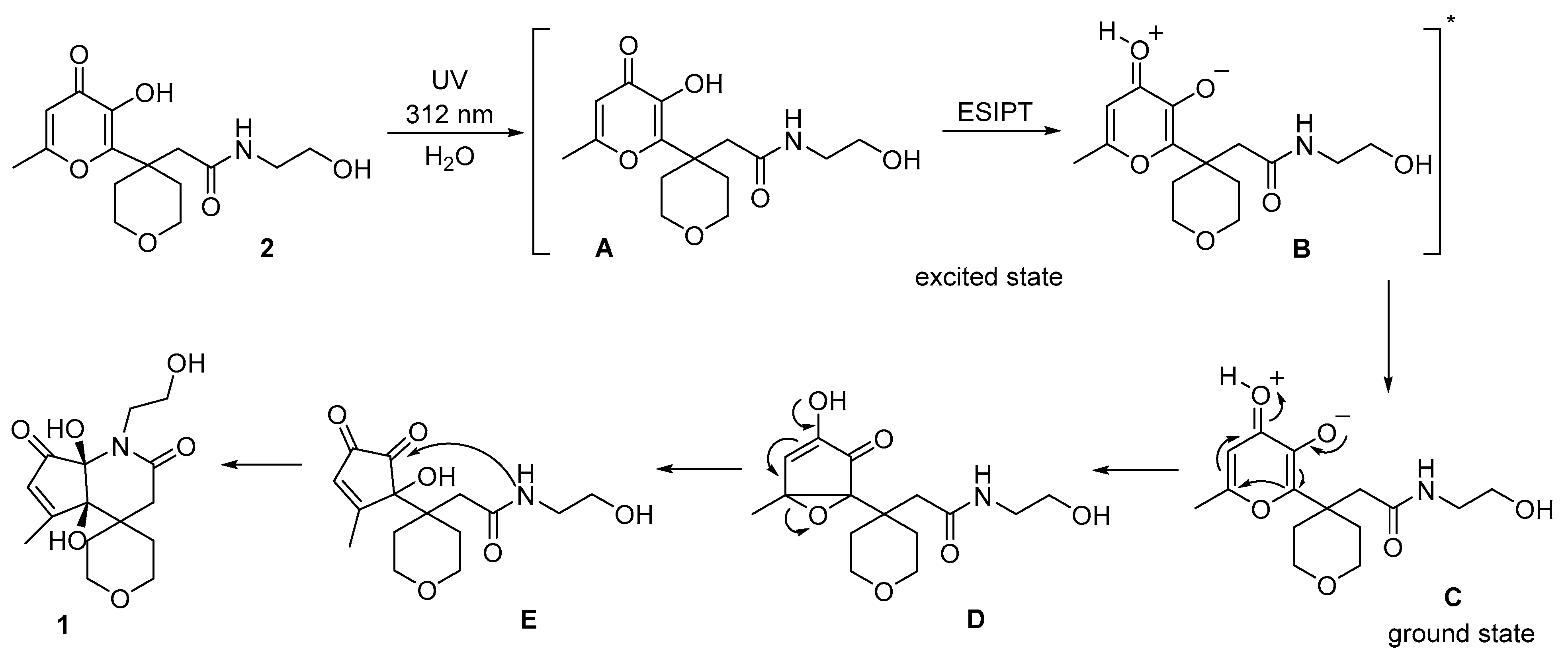 Molbank 2022 m1481 sch002