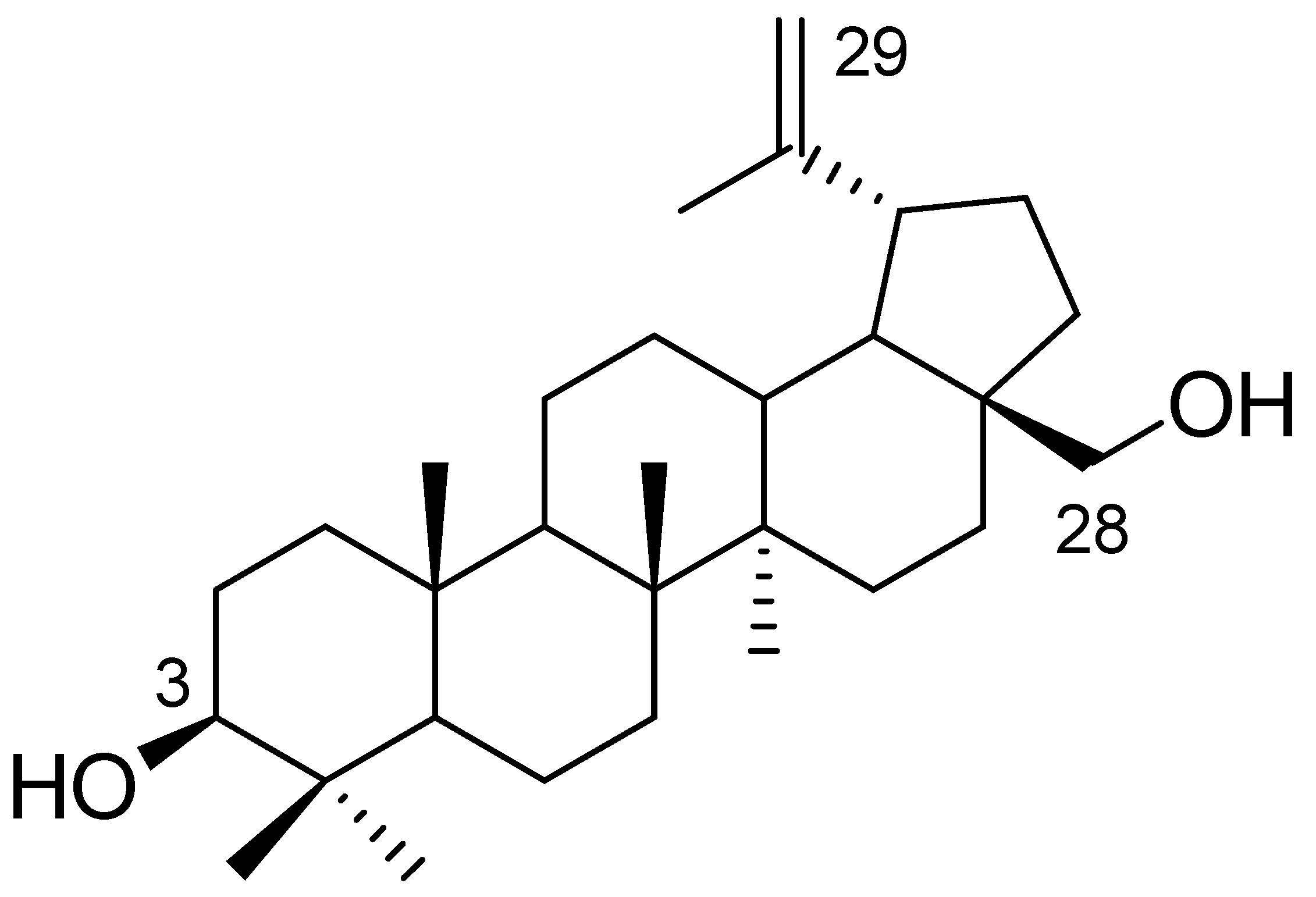 Molbank 2022 m1487 g001