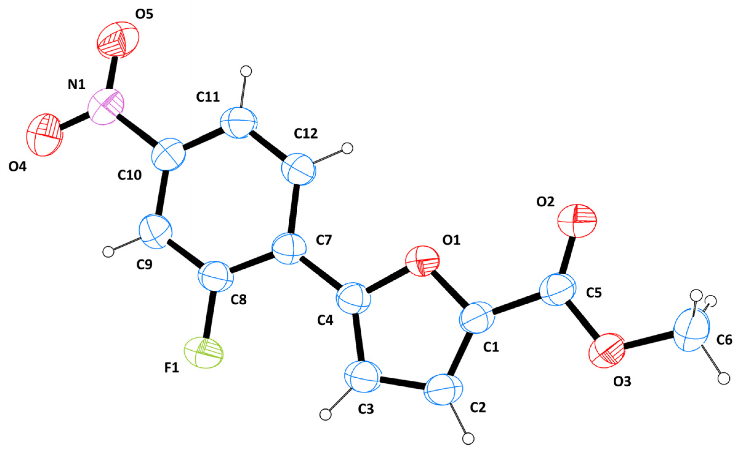 Molbank 2022 m1492 g001