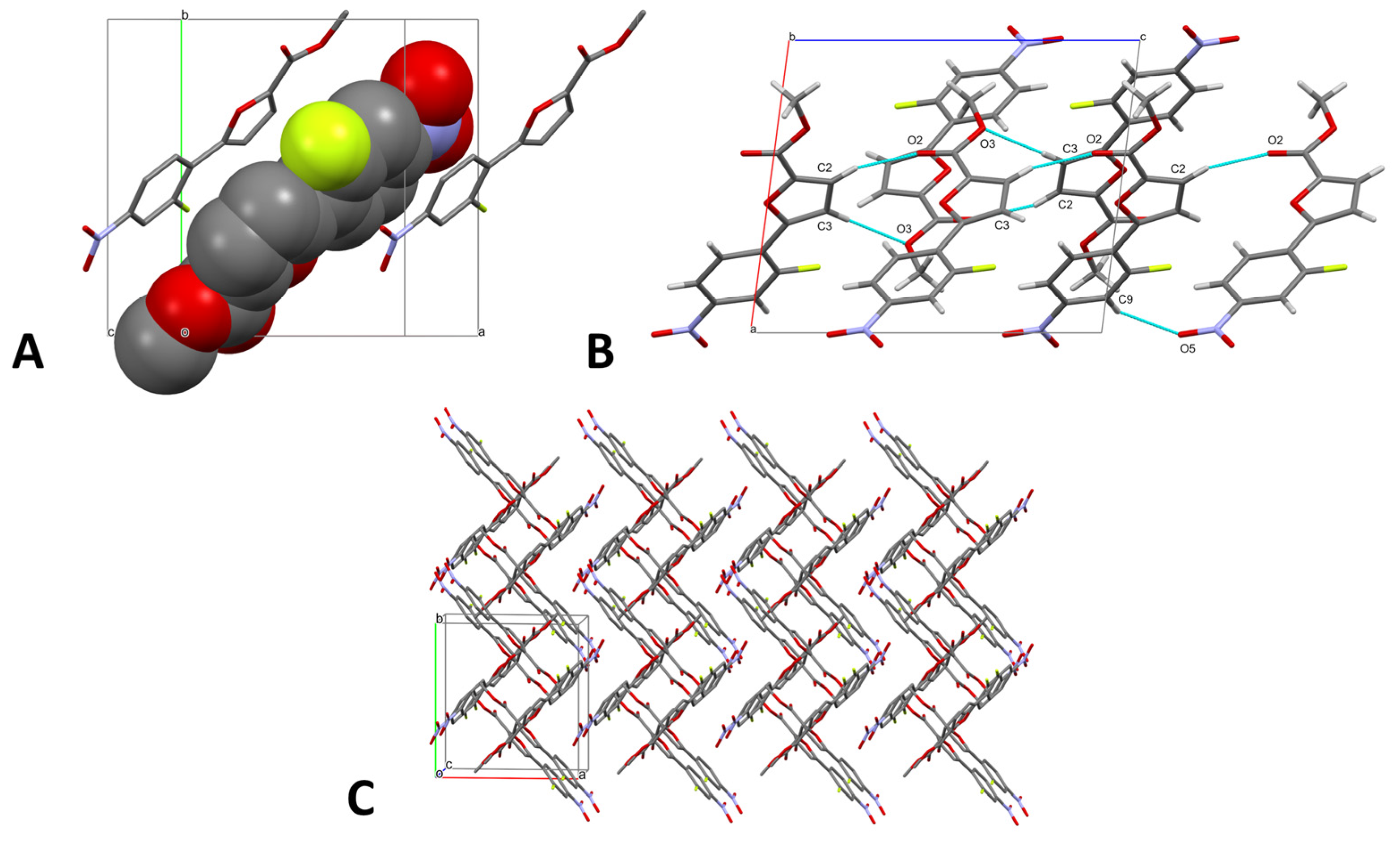 Molbank 2022 m1492 g002