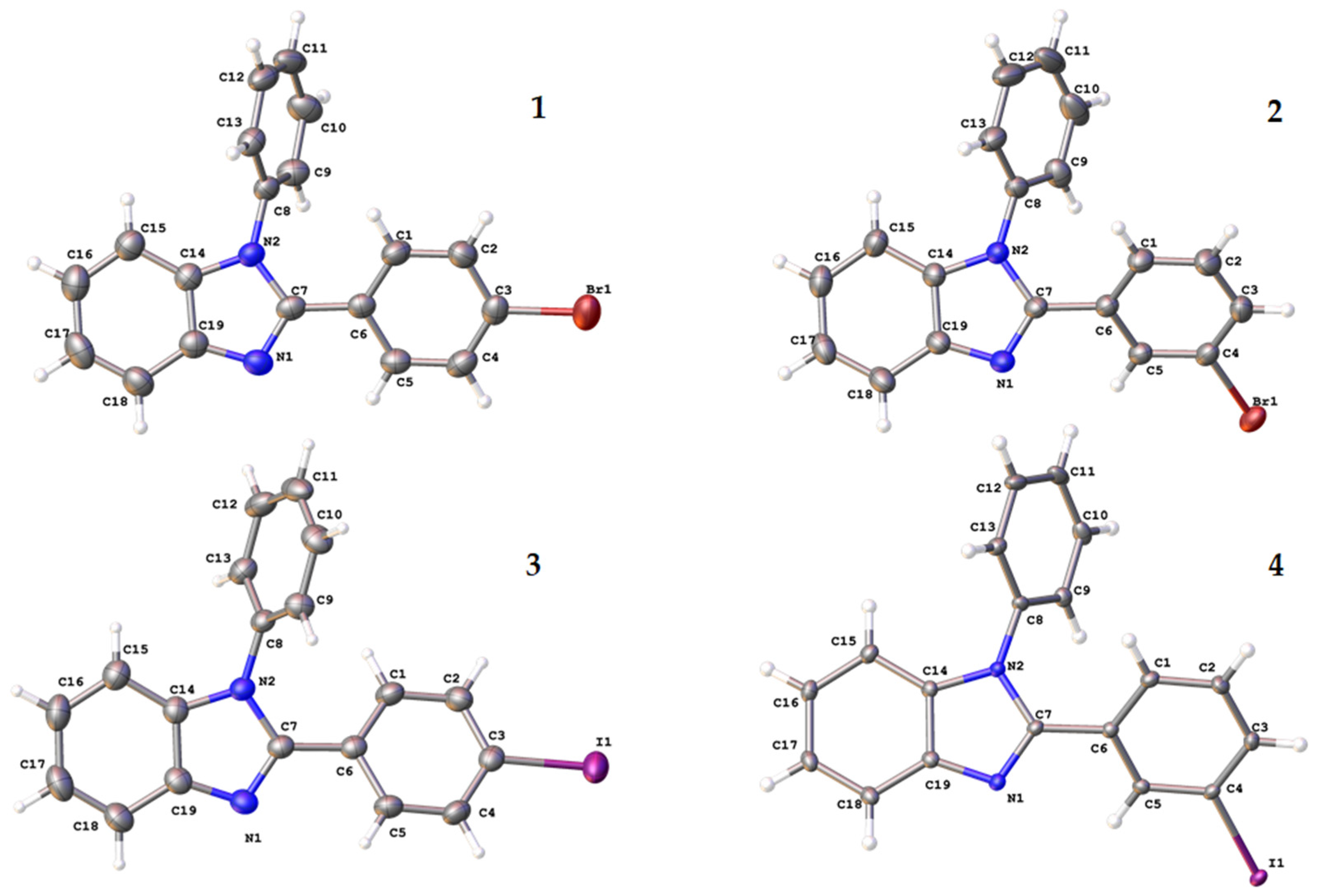 Molbank 2022 m1498 g002