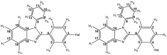 Molbank 2022 m1498 g003