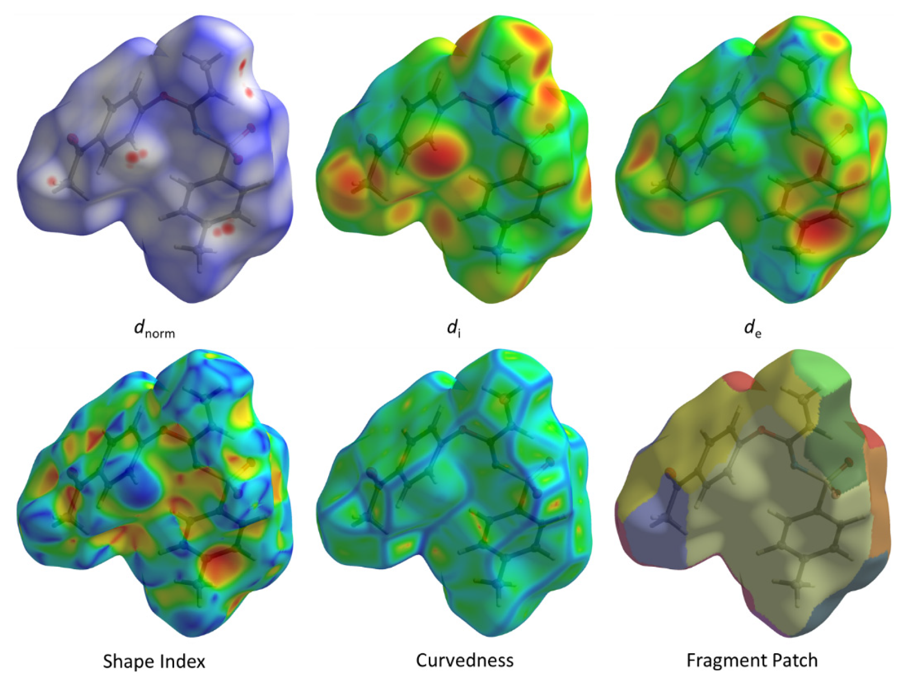Molbank 2022 m1509 g006