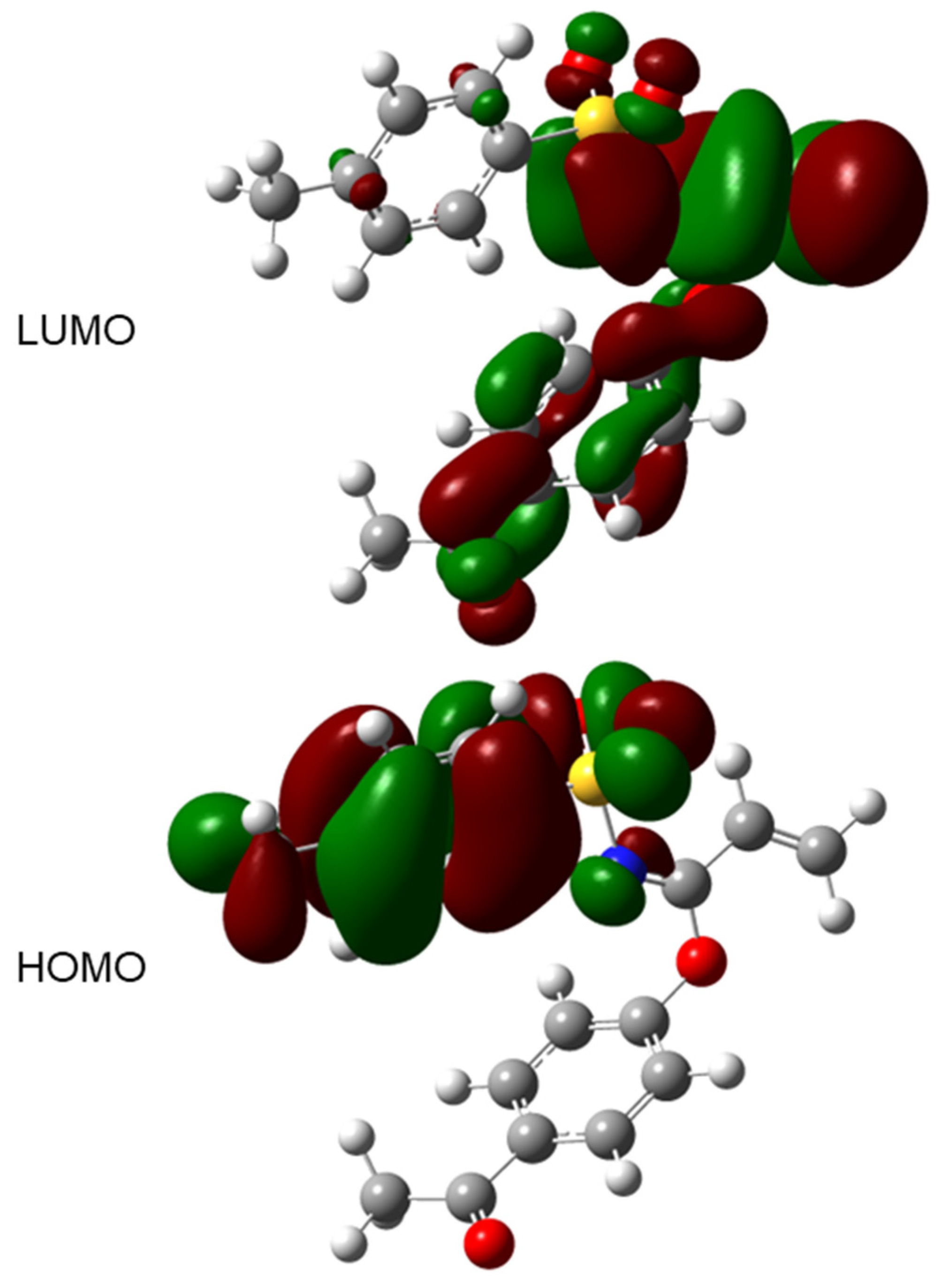 Molbank 2022 m1509 g010