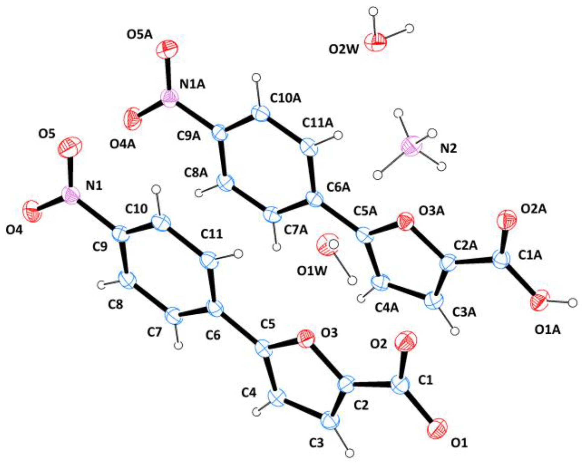 Molbank 2022 m1515 g001