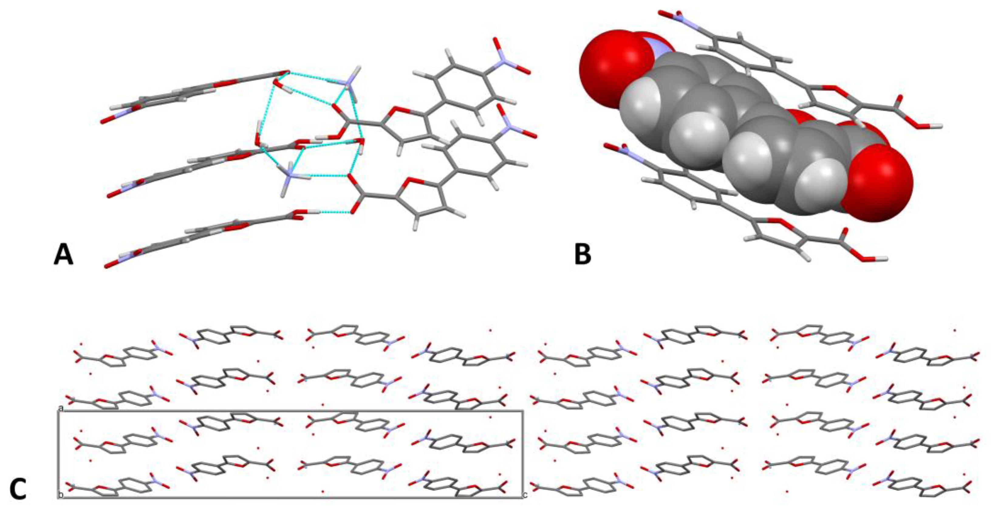 Molbank 2022 m1515 g002