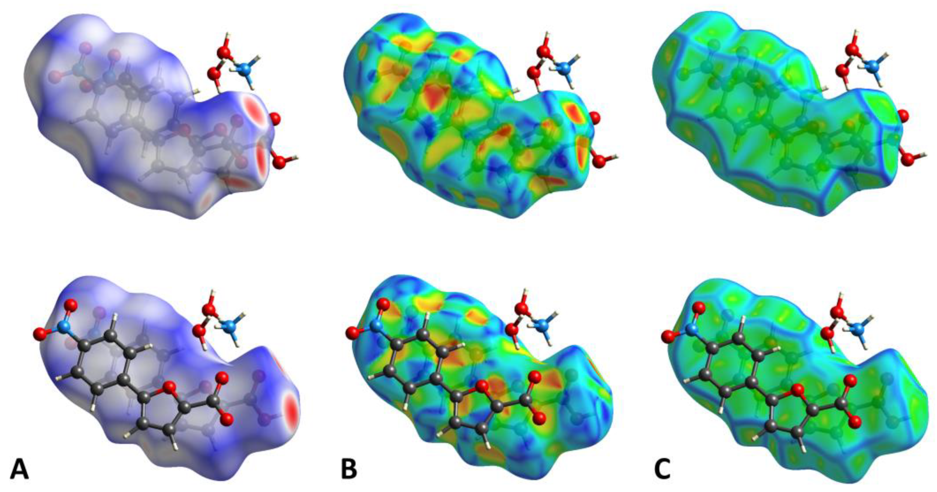 Molbank 2022 m1515 g003
