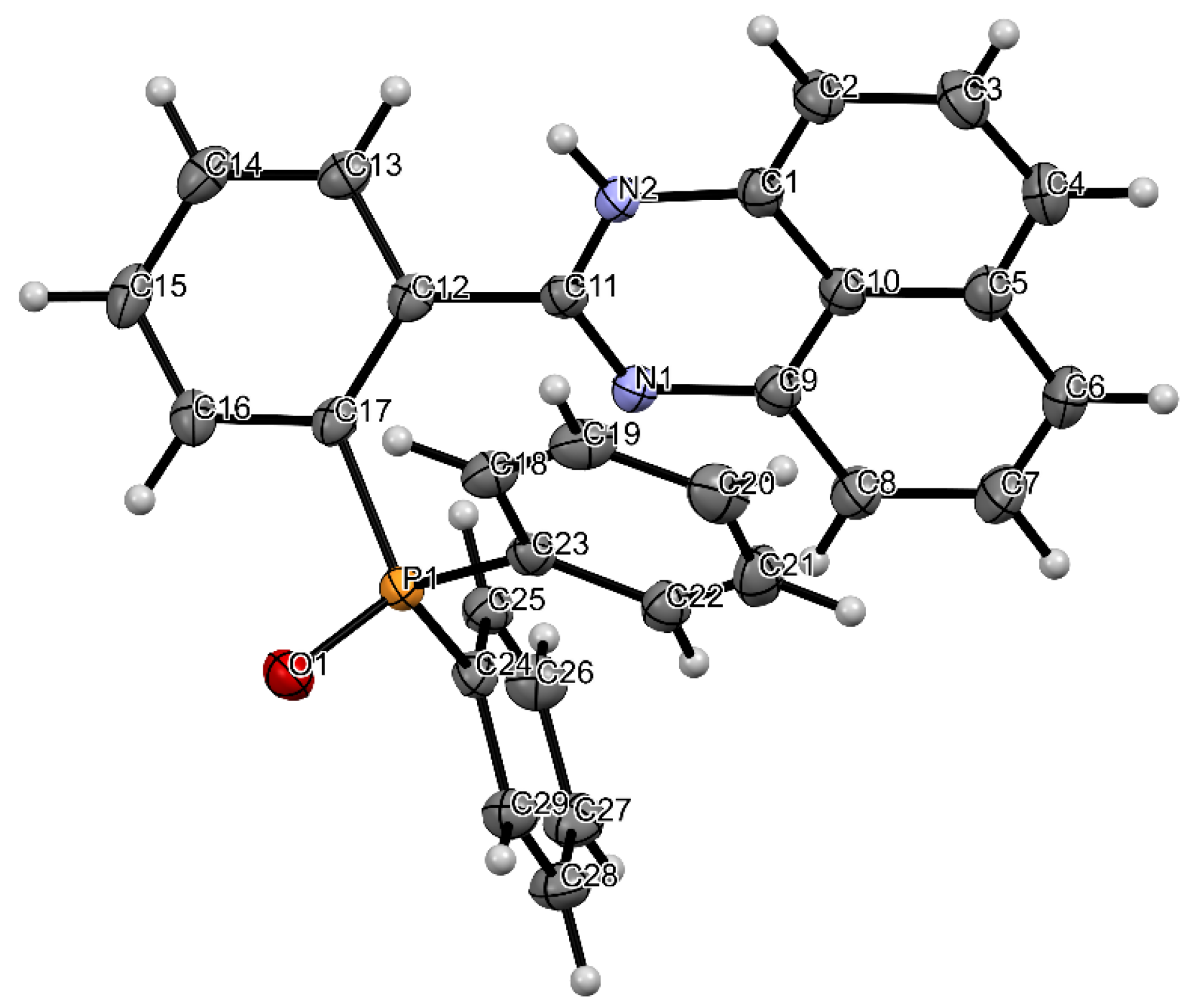 Molbank 2023 m1537 g001