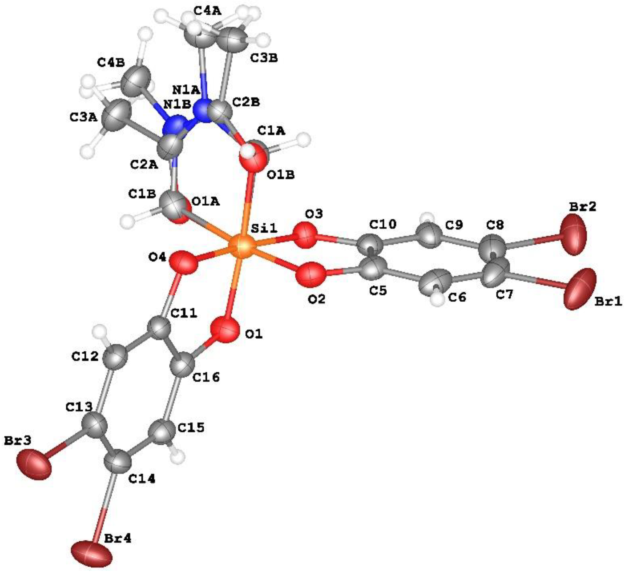 Molbank 2023 m1539 g001
