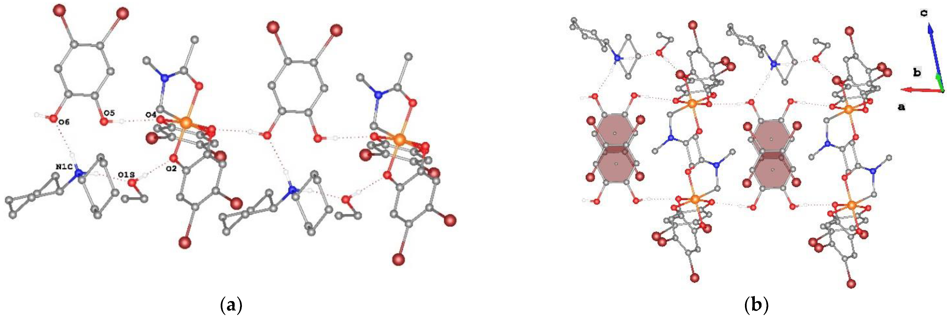 Molbank 2023 m1539 g002