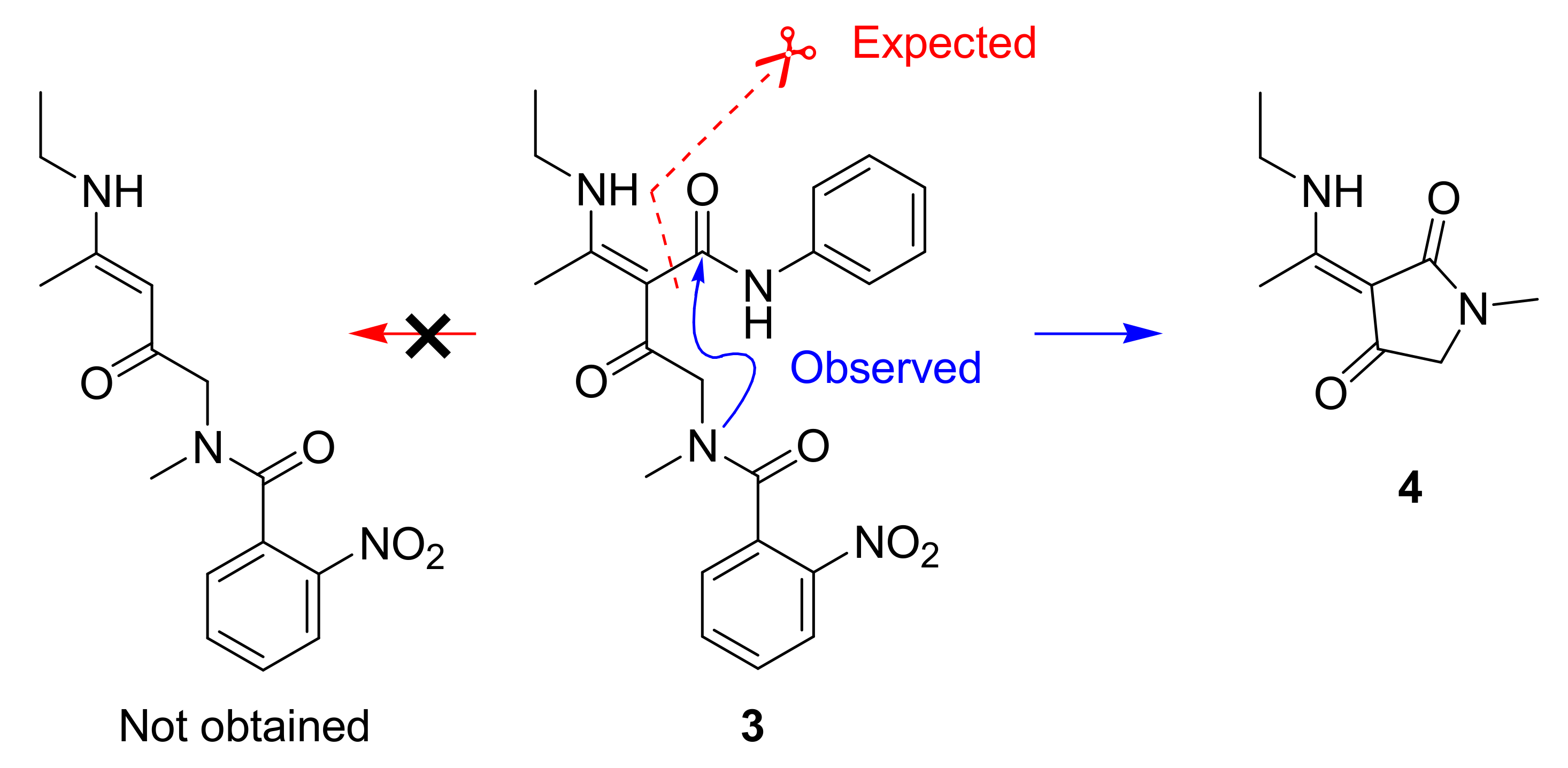 Molbank 2023 m1556 sch002
