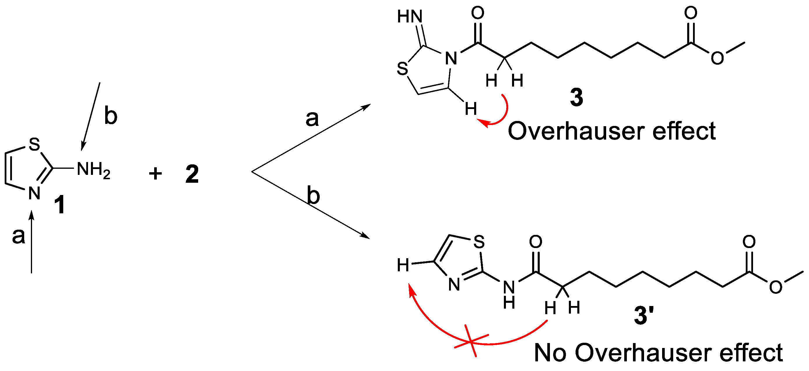 Molbank 2023 m1580 sch002