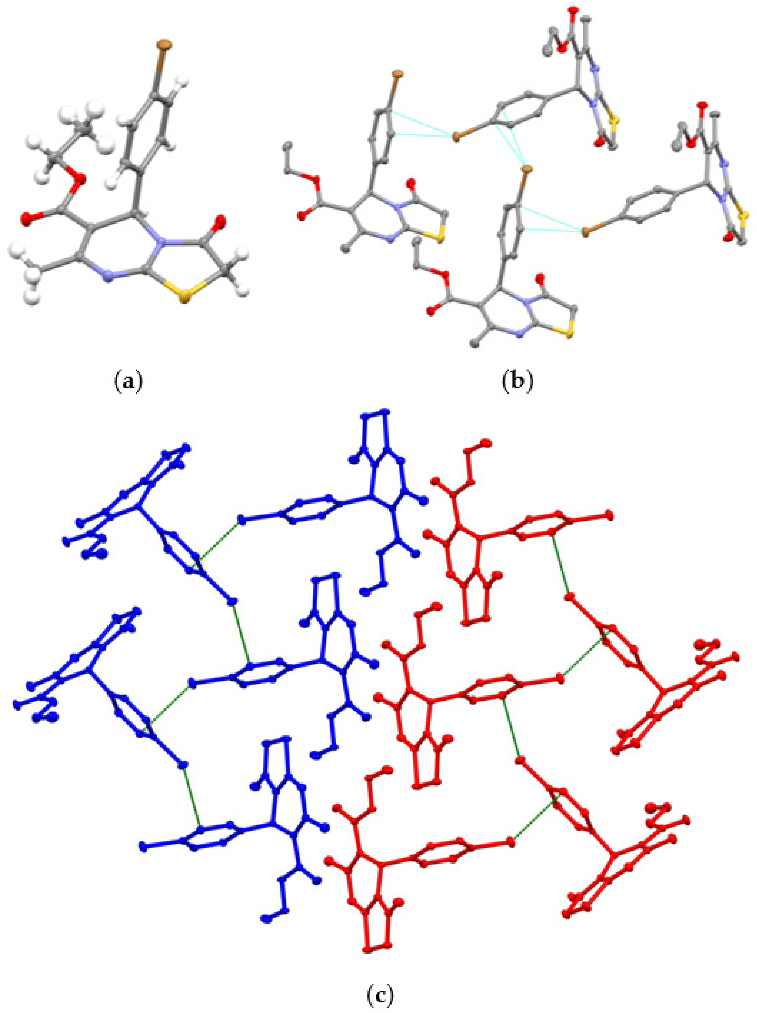 Molbank 2023 m1581 g001 Molbank 2023 m1581 g001
