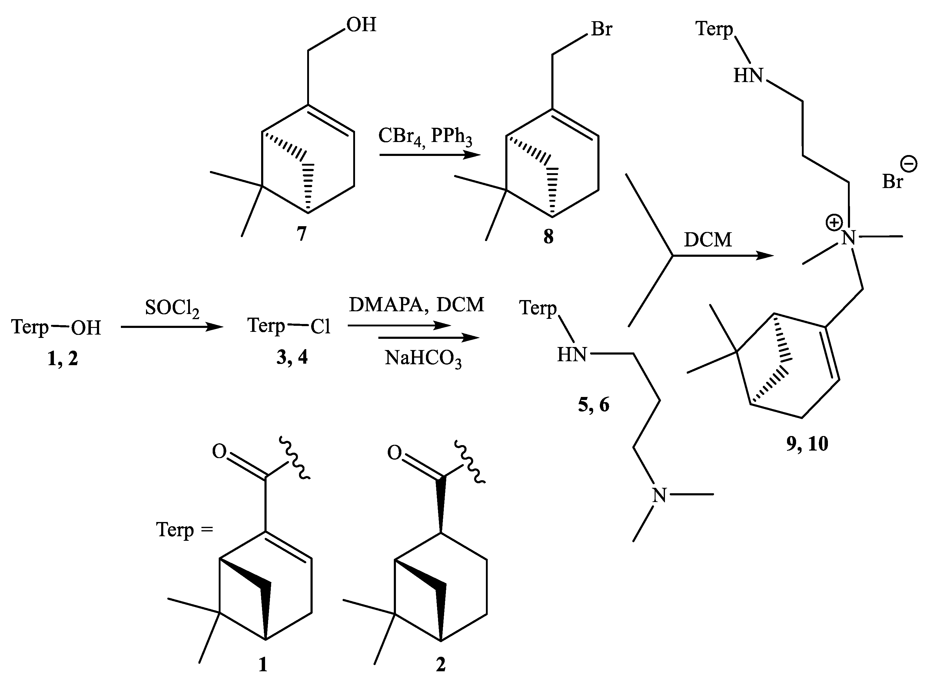 Molbank 2023 m1592 sch001