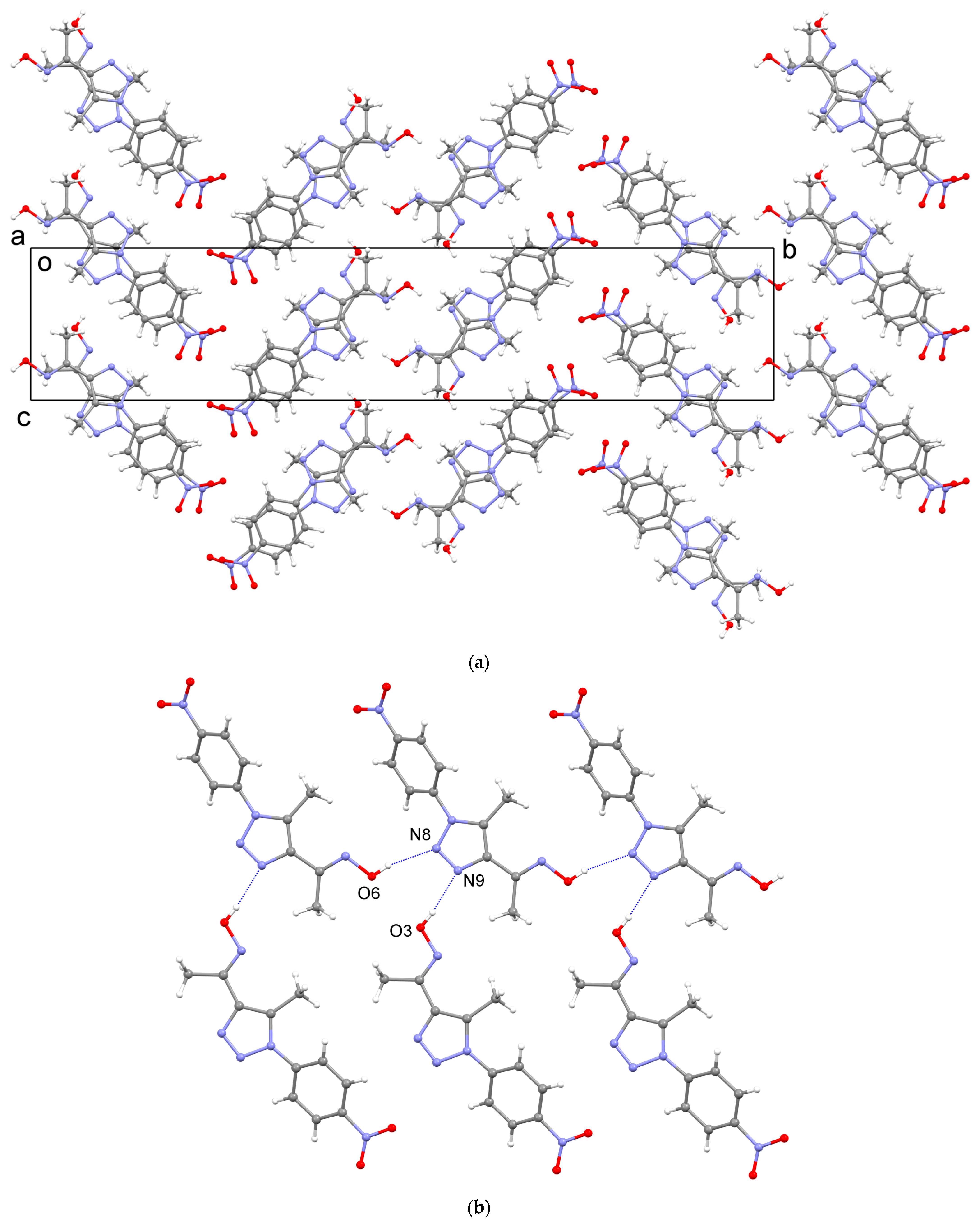 Molbank 2023 m1593 g002