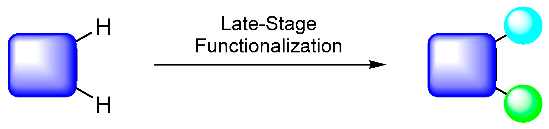 Molbank 2023 m1603 g002