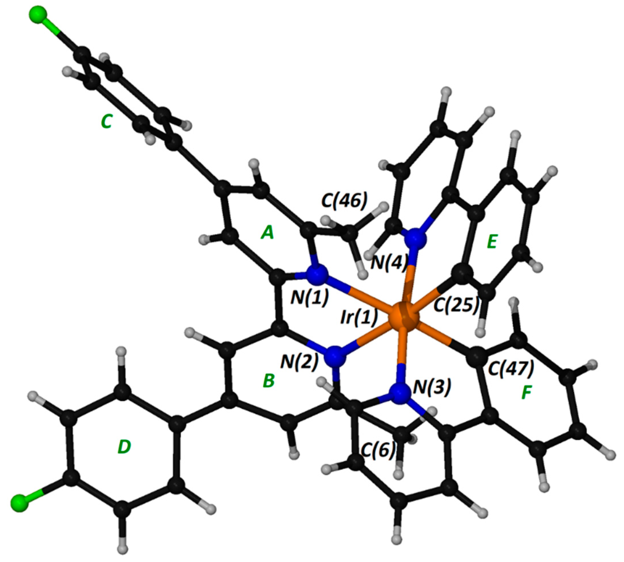 Molbank 2023 m1610 g004