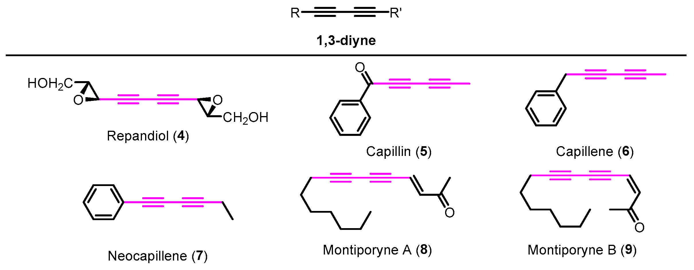 Molbank 2023 m1621 g001