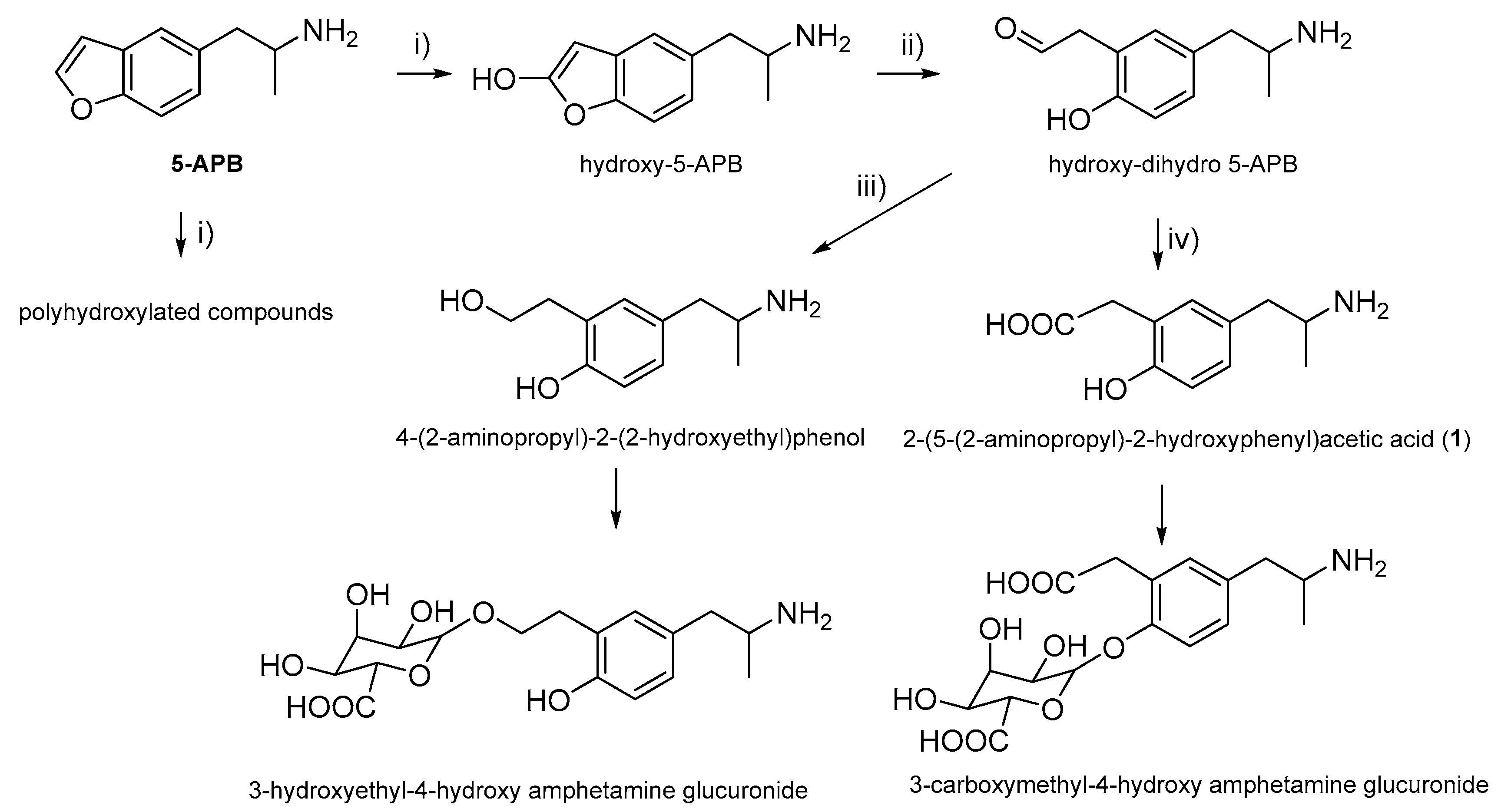 Molbank 2023 m1629 g002
