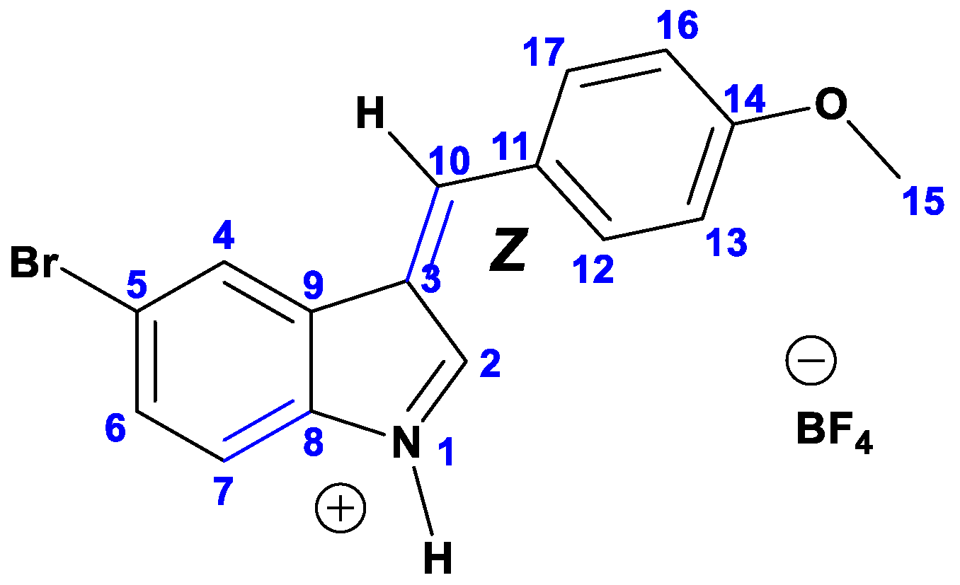 Molbank 2023 m1636 g002