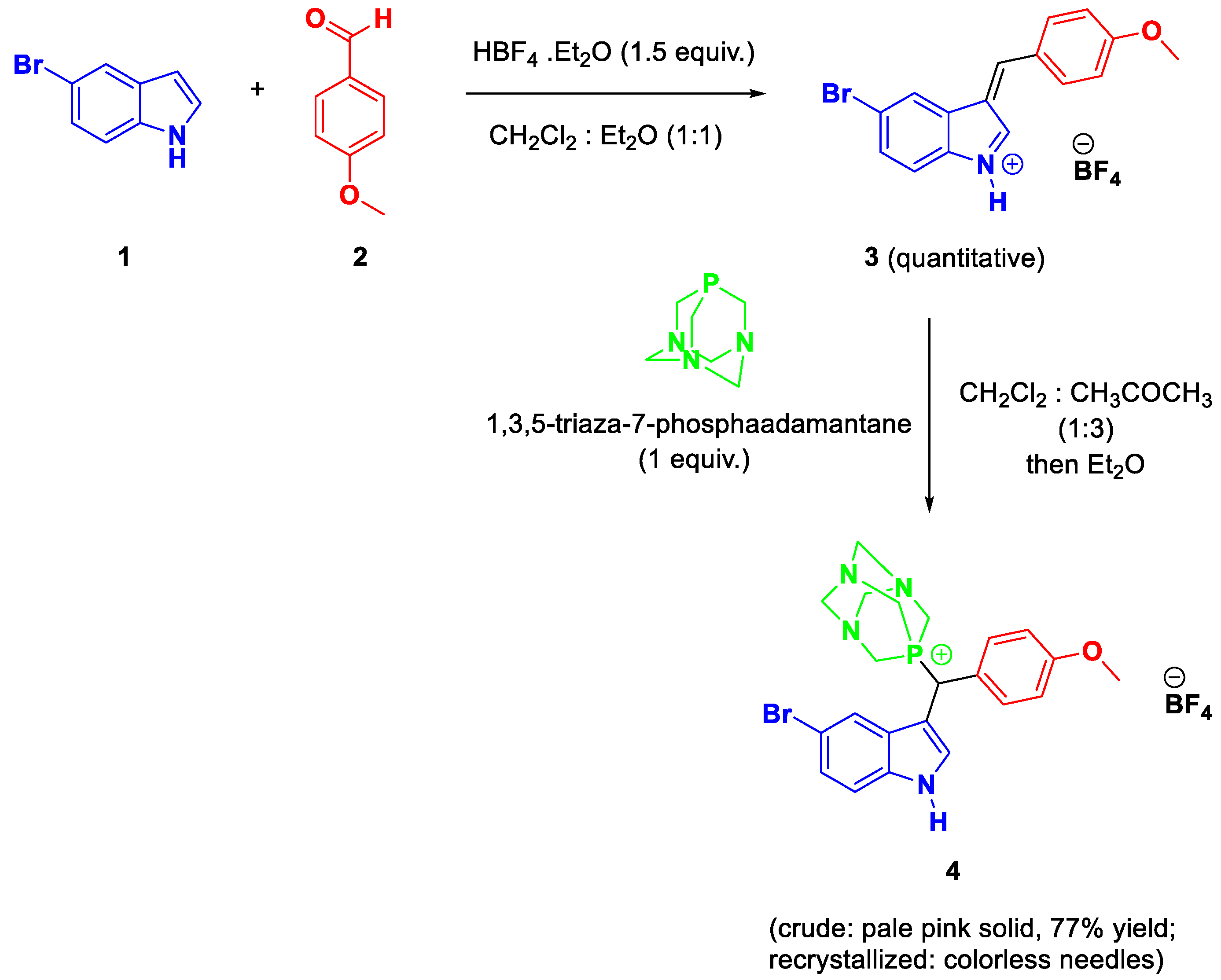 Molbank 2023 m1636 sch001