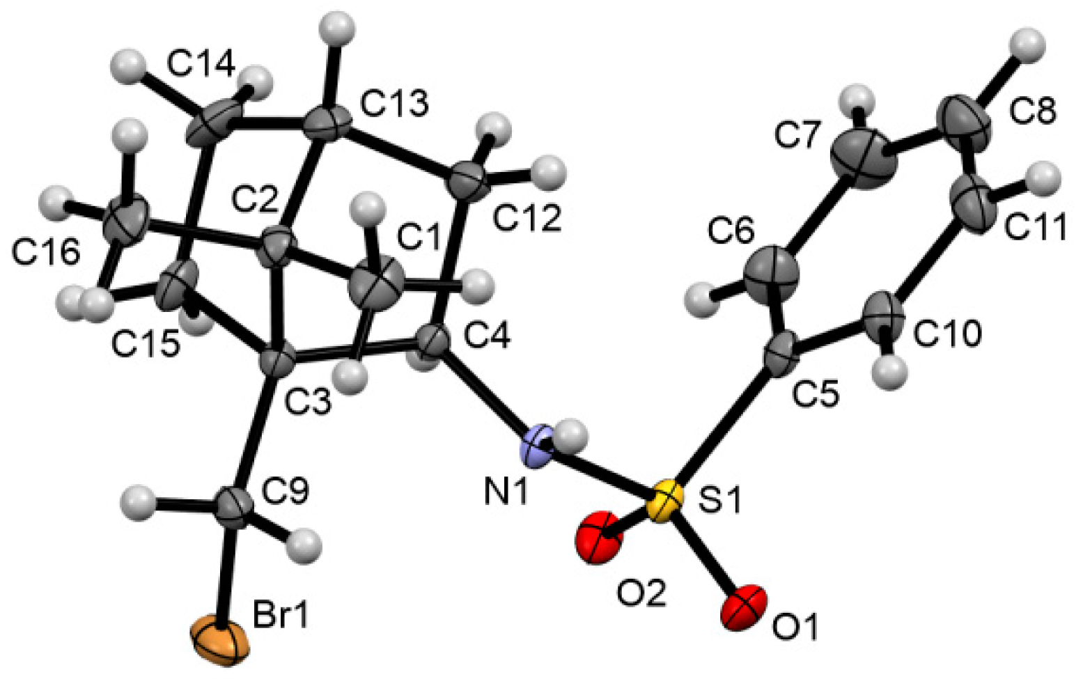 Molbank 2023 m1645 g002