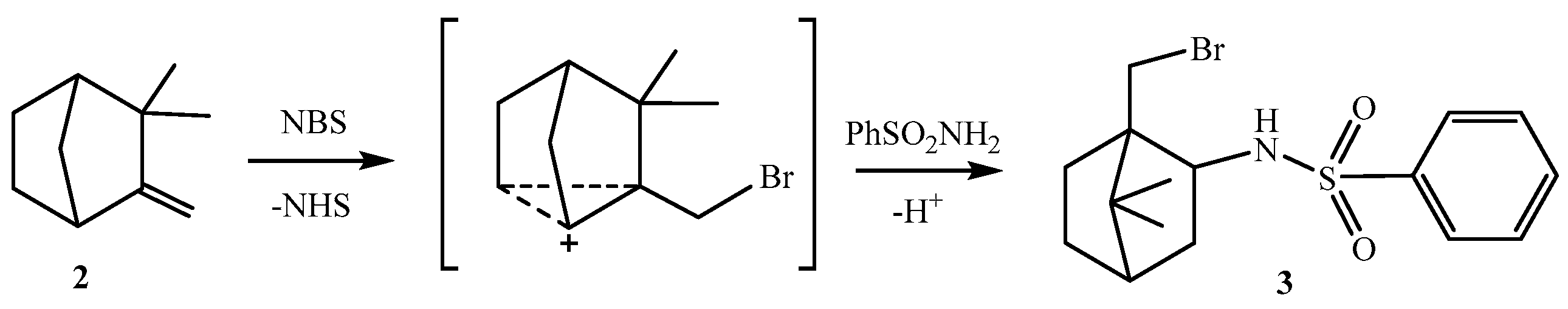 Molbank 2023 m1645 sch002