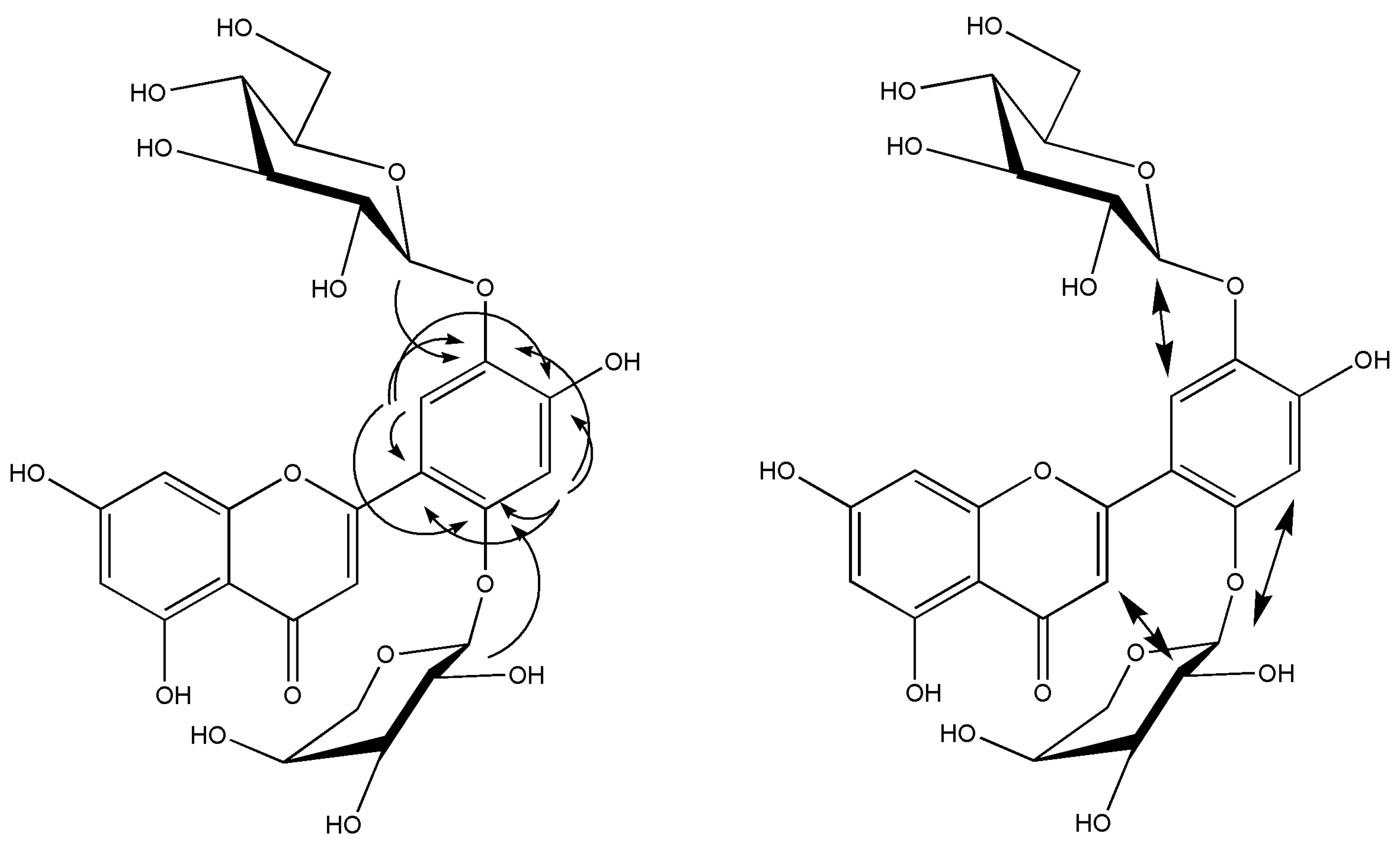 Molbank 2023 m1652 g002