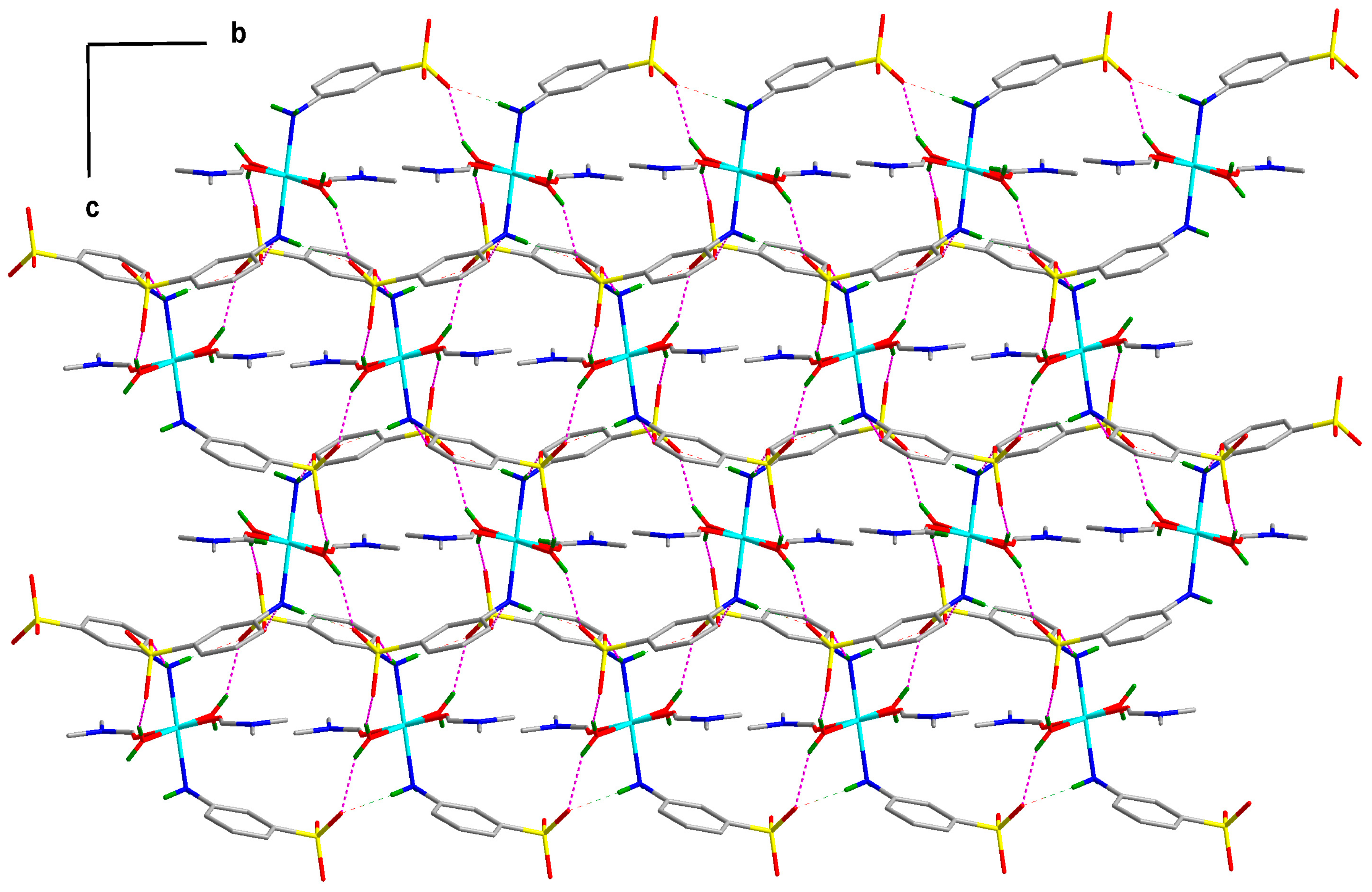 Molbank 2023 m1658 g002