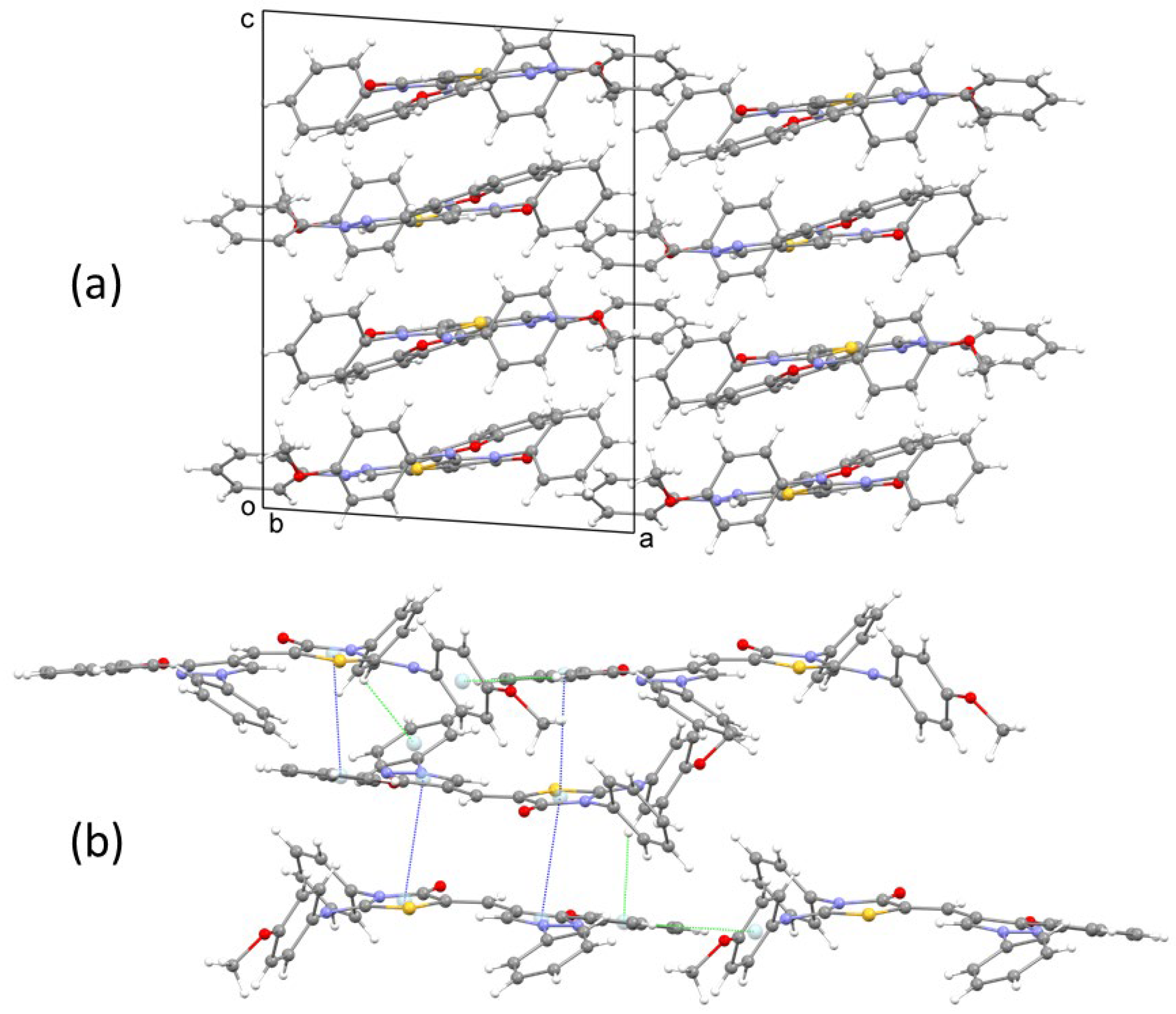 Molbank 2023 m1665 g002
