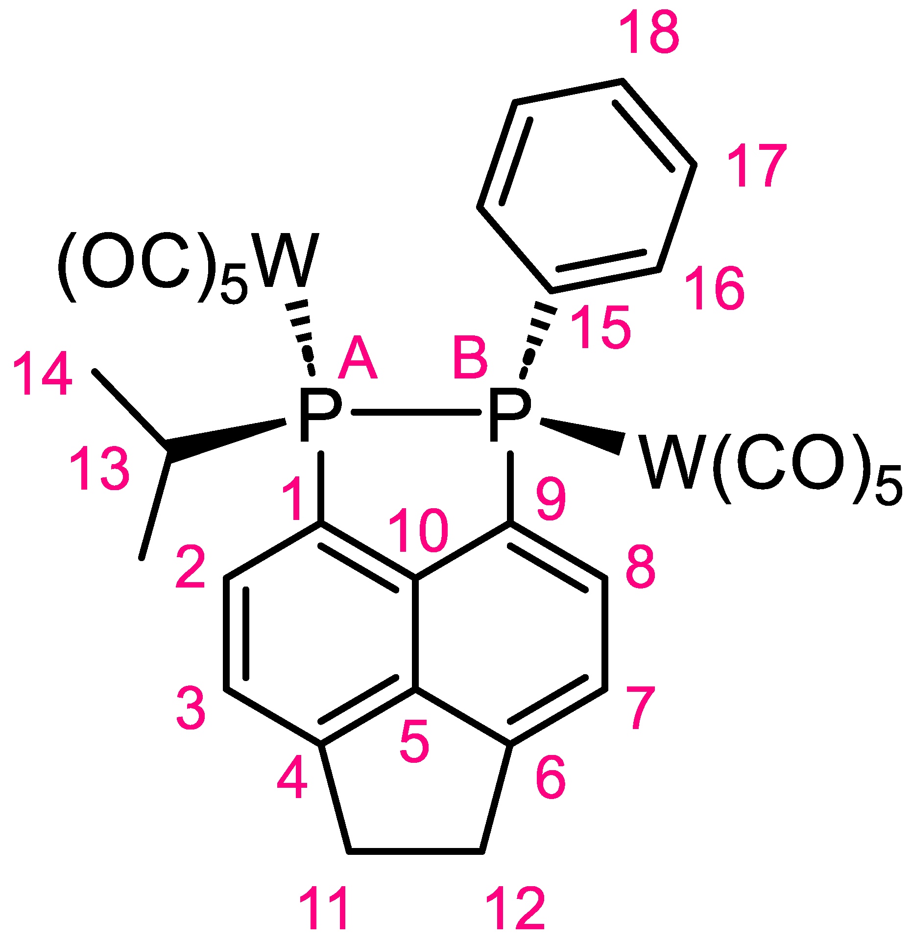 Molbank 2023 m1671 g004