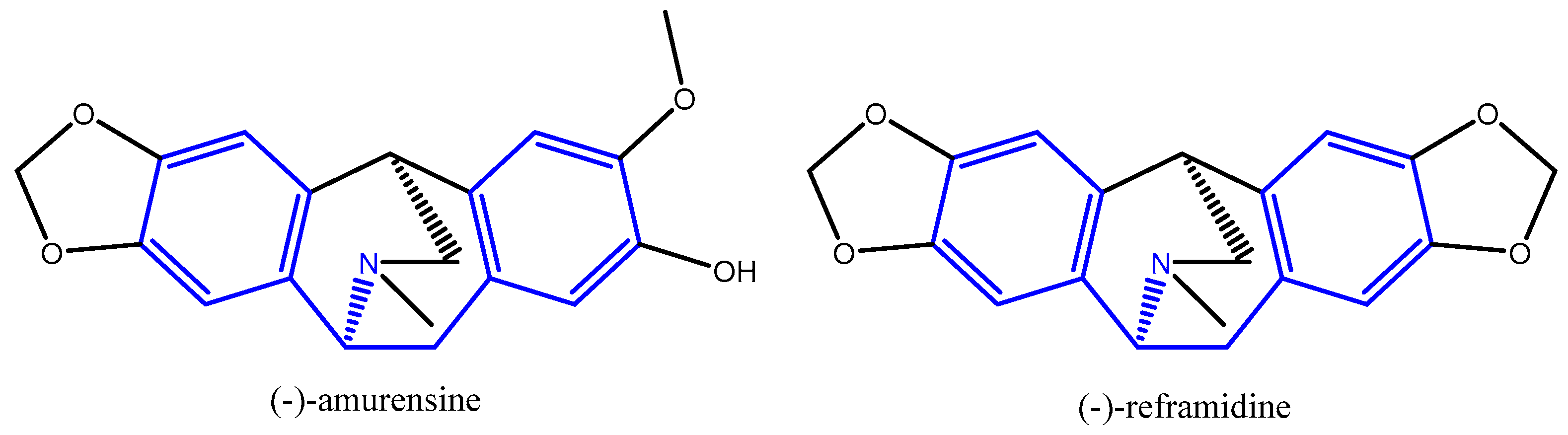 Molbank 2023 m1679 g002