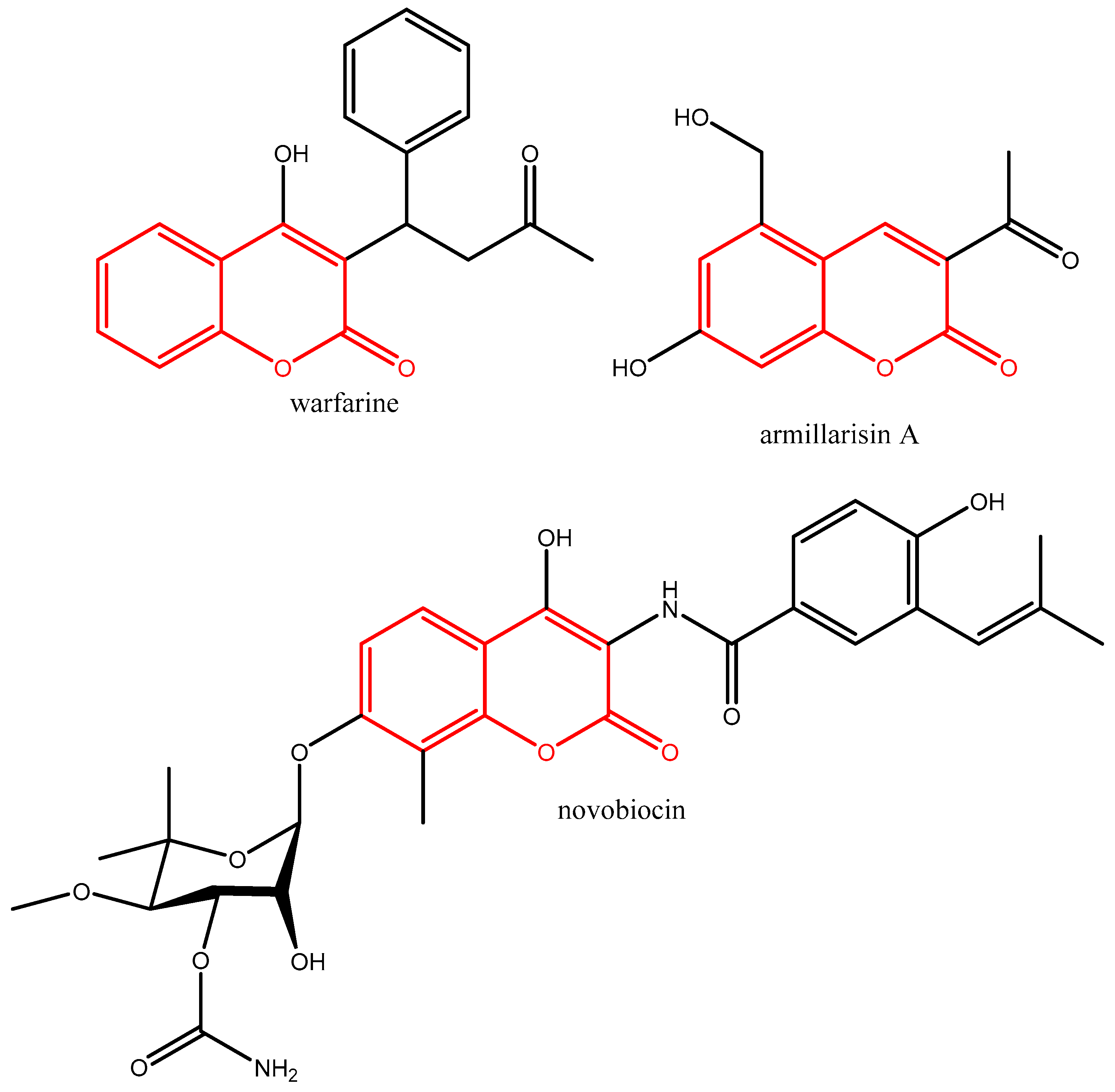 Molbank 2023 m1682 g002