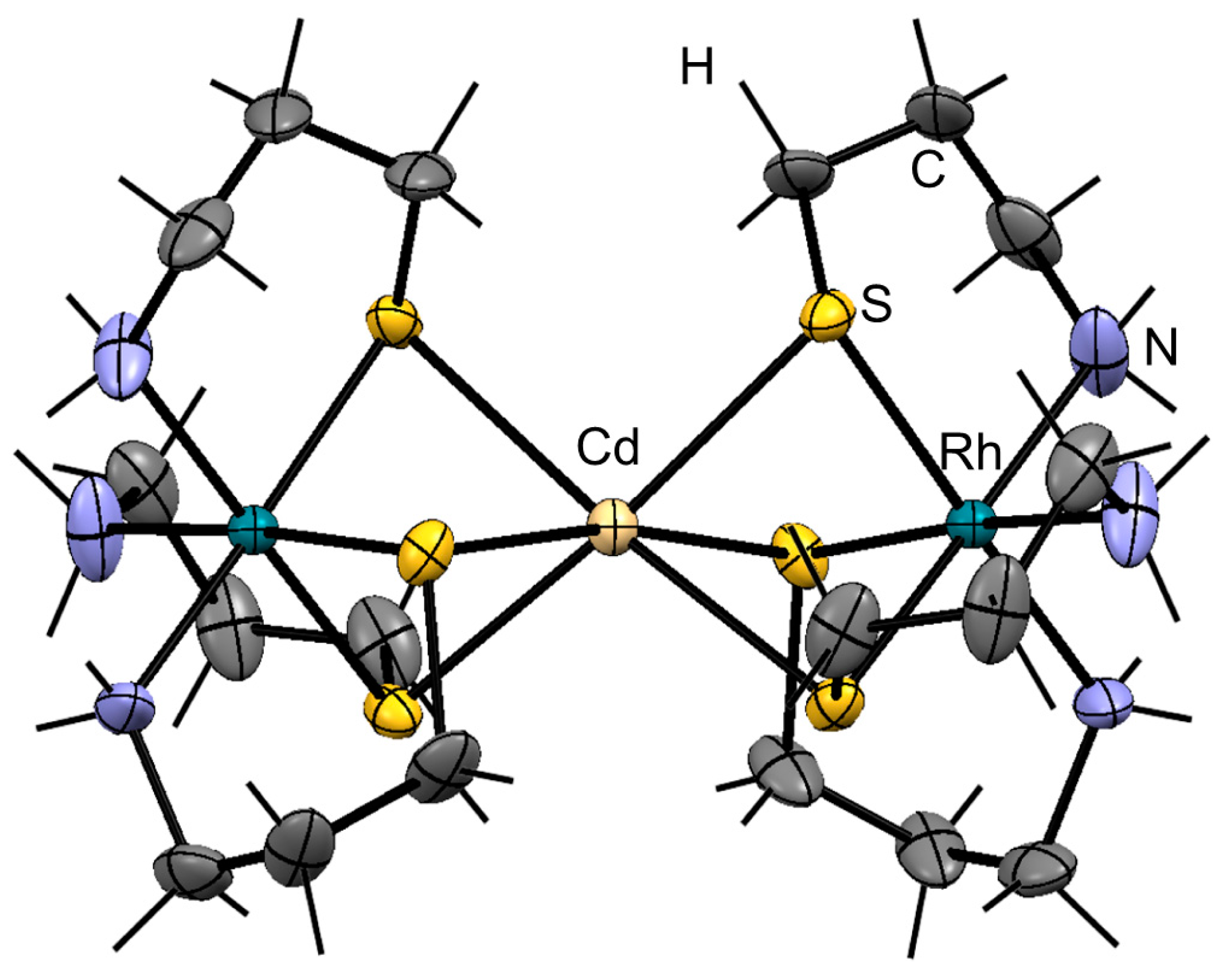 Molbank 2023 m1684 g002