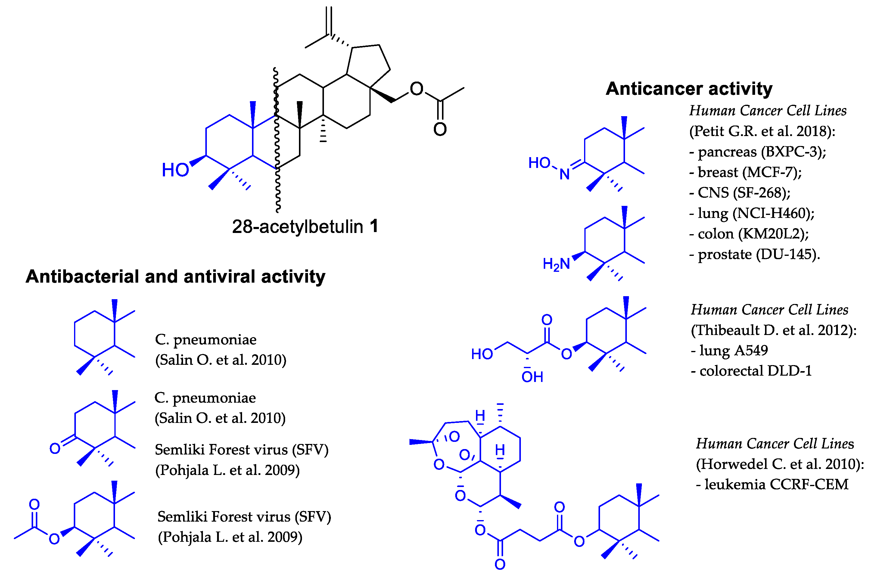 Molbank 2023 m1686 g001