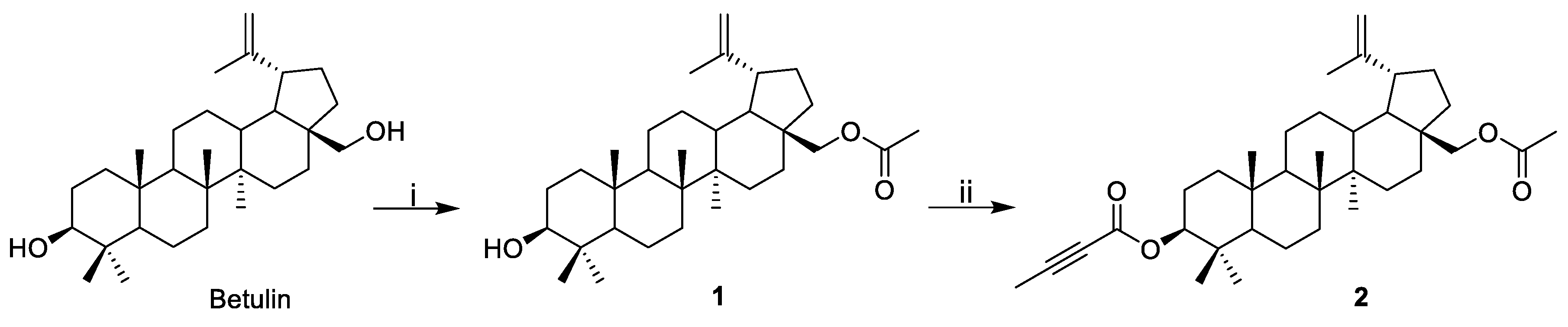 Molbank 2023 m1686 g003