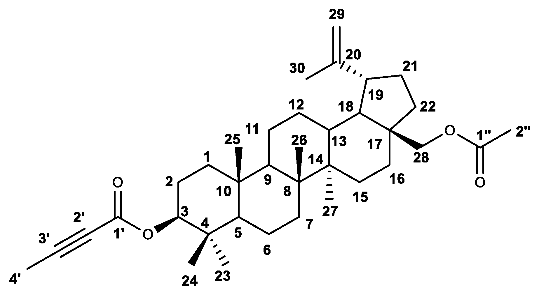 Molbank 2023 m1686 g004