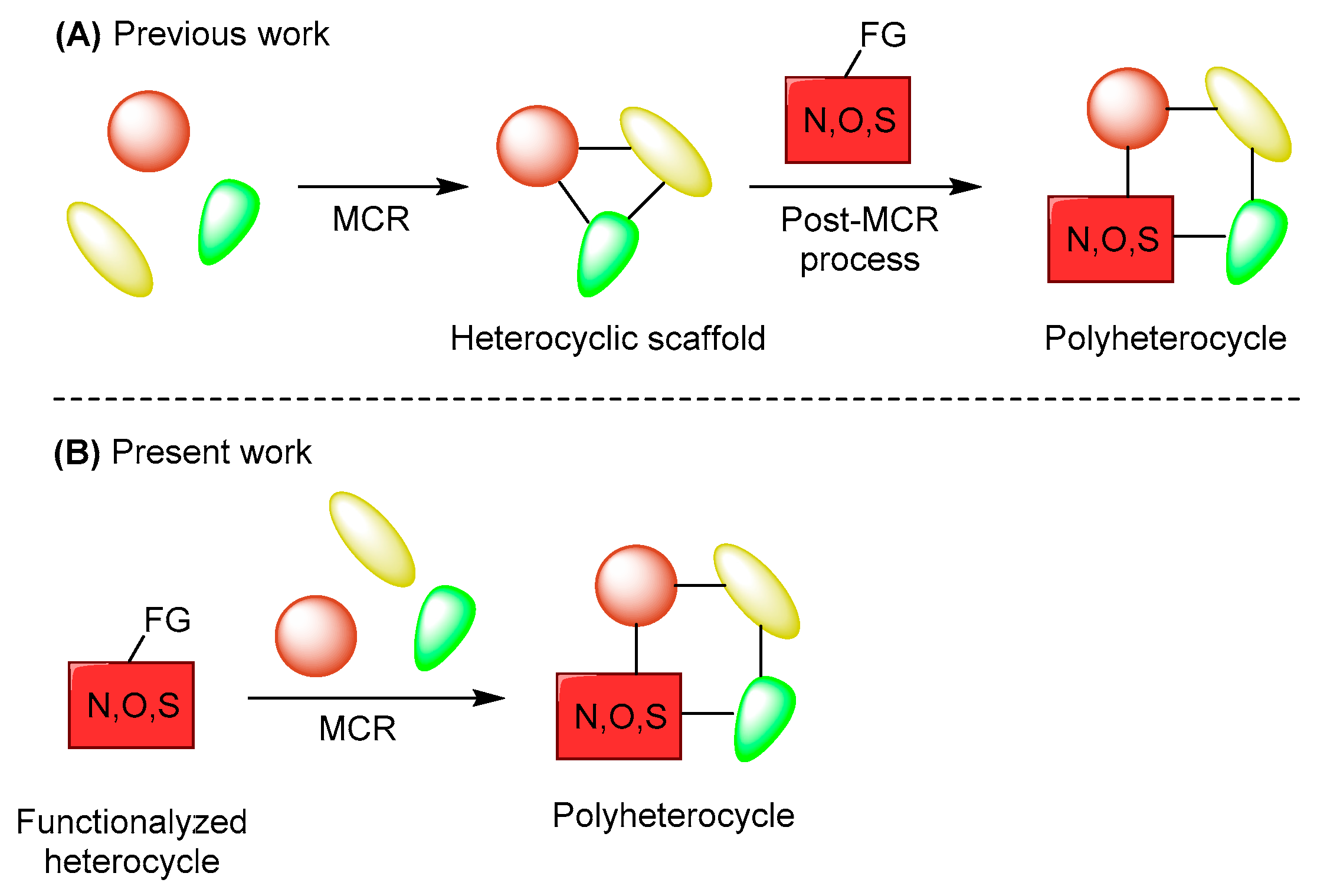 Molbank 2023 m1693 g002