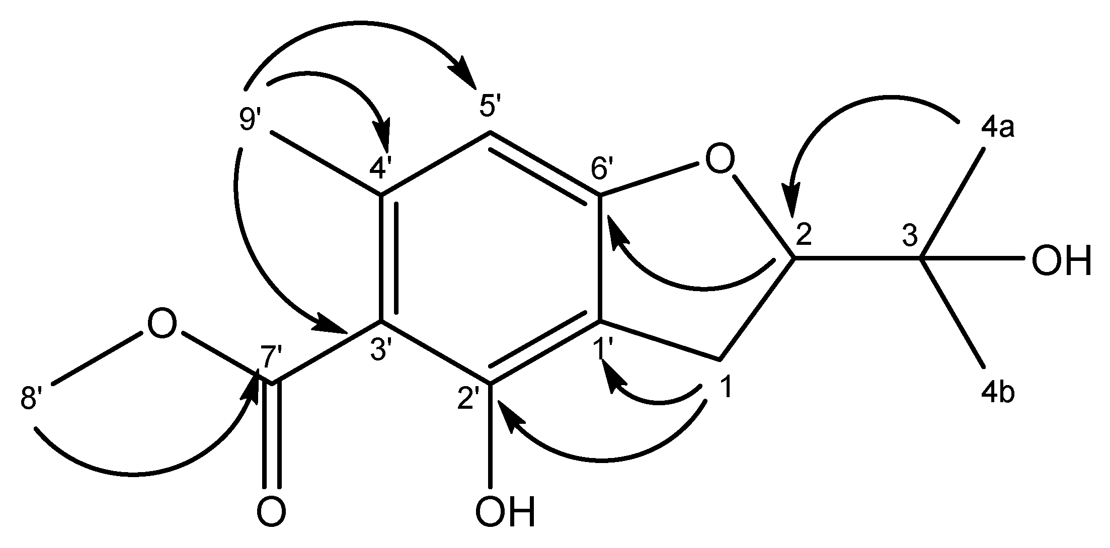 Molbank 2023 m1697 g002
