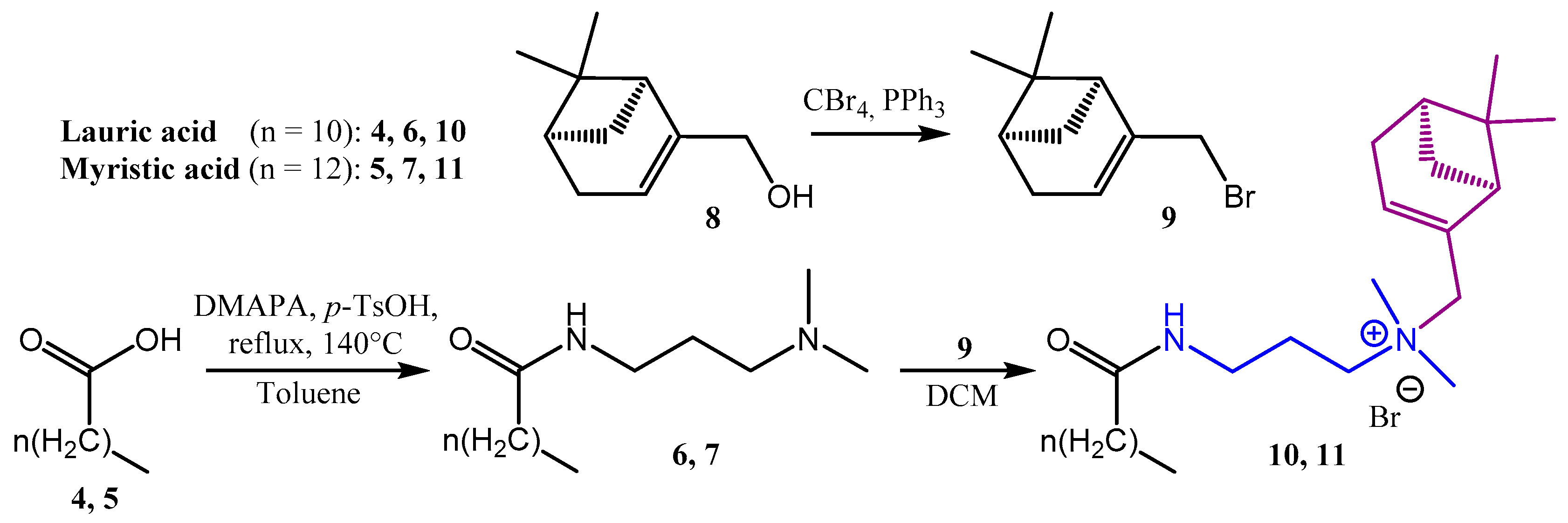 Molbank 2023 m1704 g002