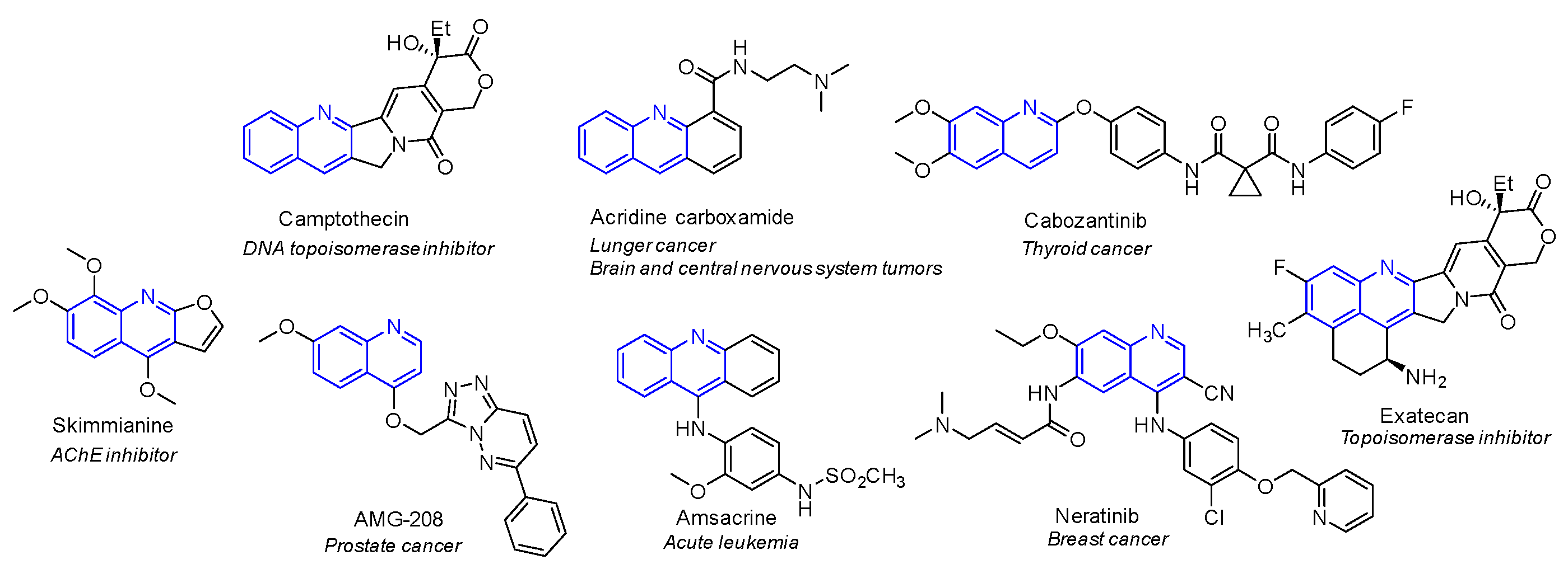 Molbank 2023 m1712 g001