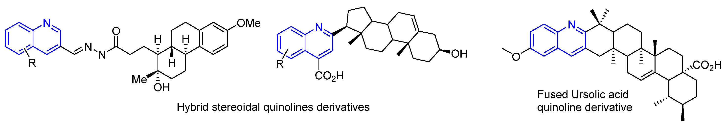 Molbank 2023 m1712 g002