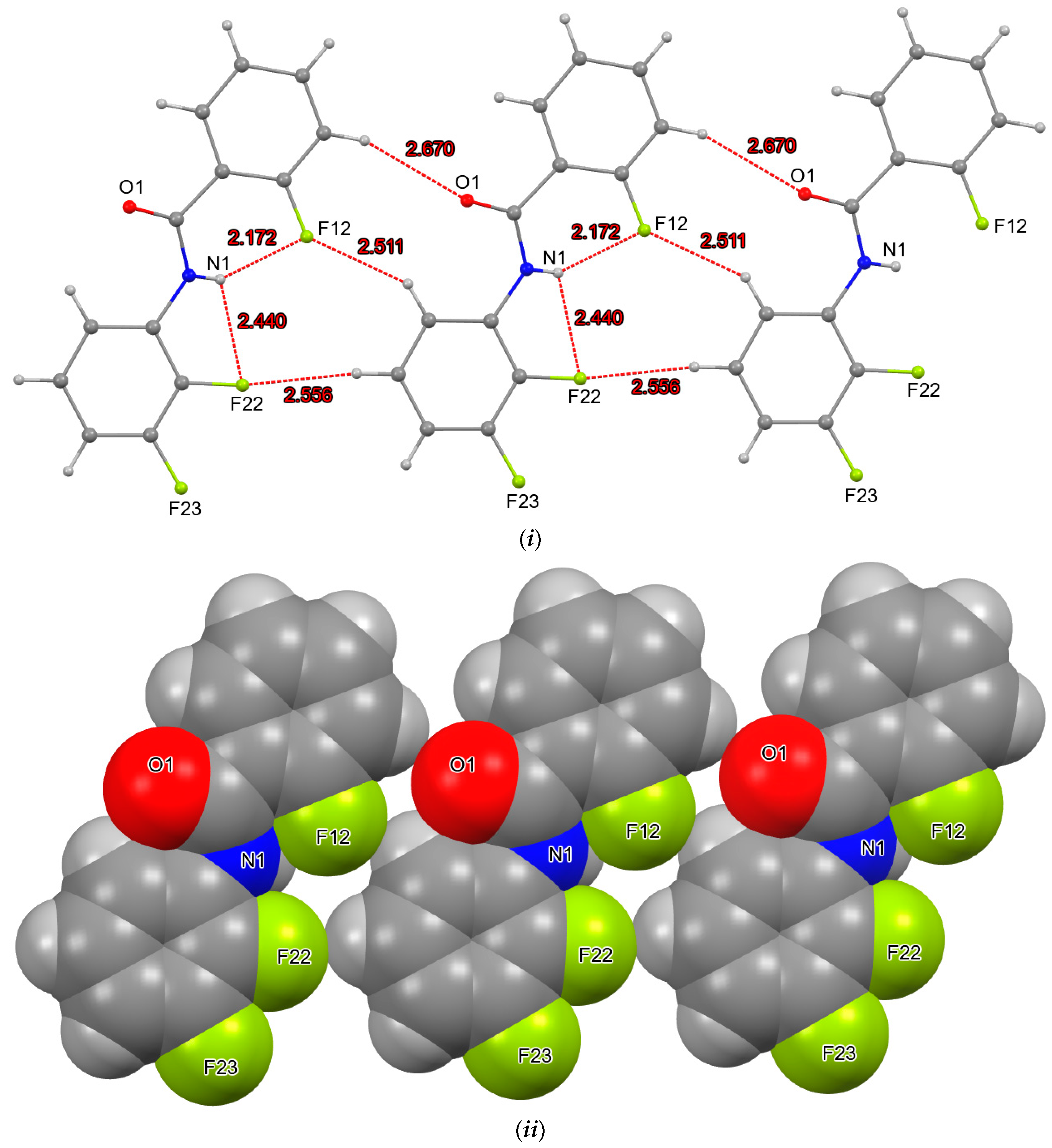 Molbank 2023 m1717 g003