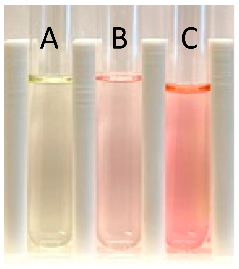 Molbank 2023 m1725 g002