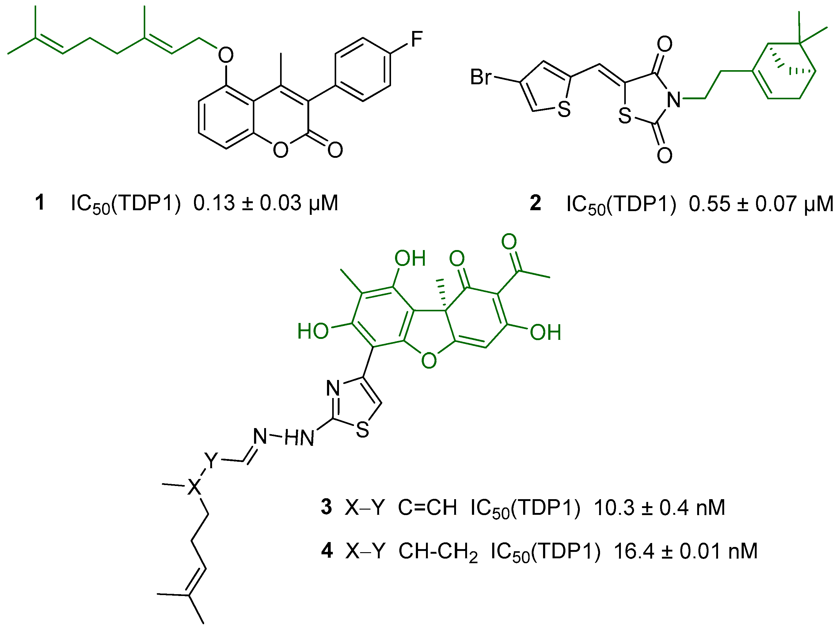 Molbank 2023 m1743 g001