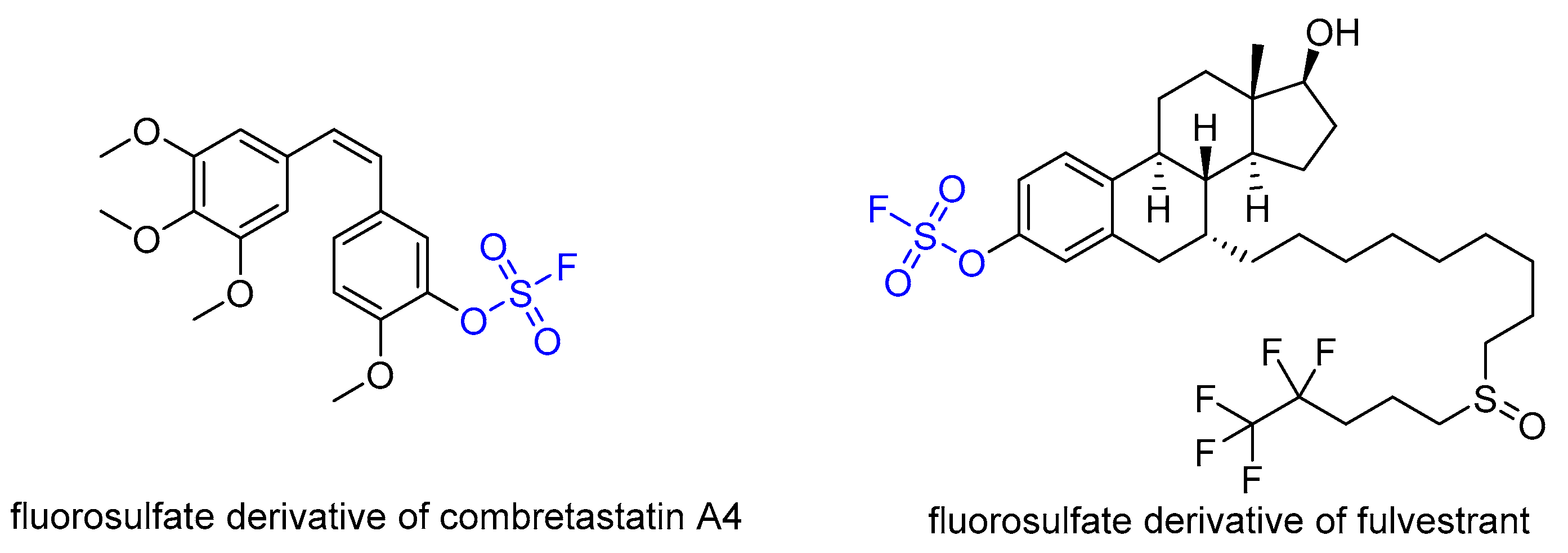Molbank 2023 m1746 g002