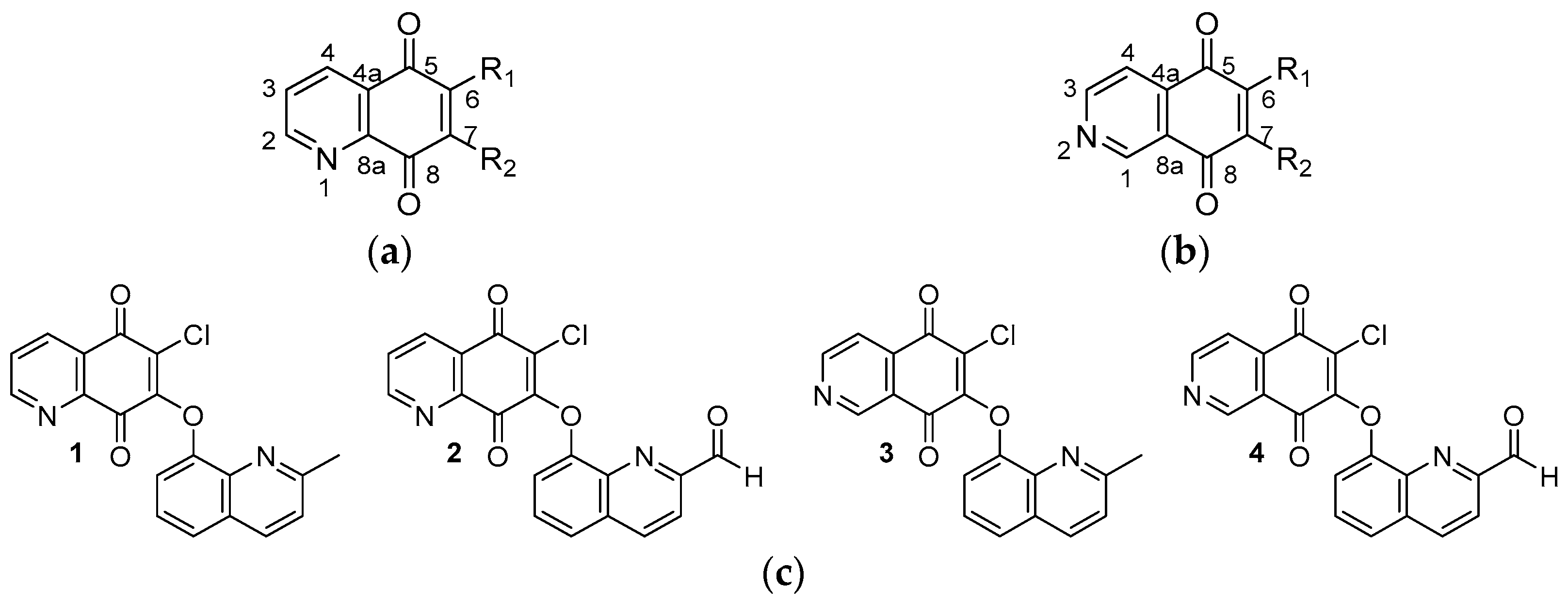Molbank 2023 m1747 g001
