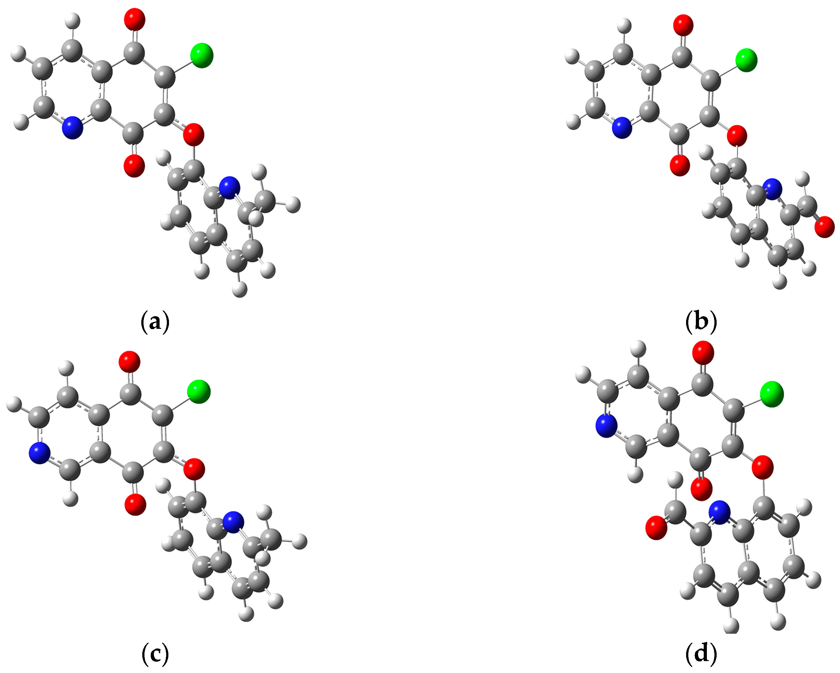 Molbank 2023 m1747 g003