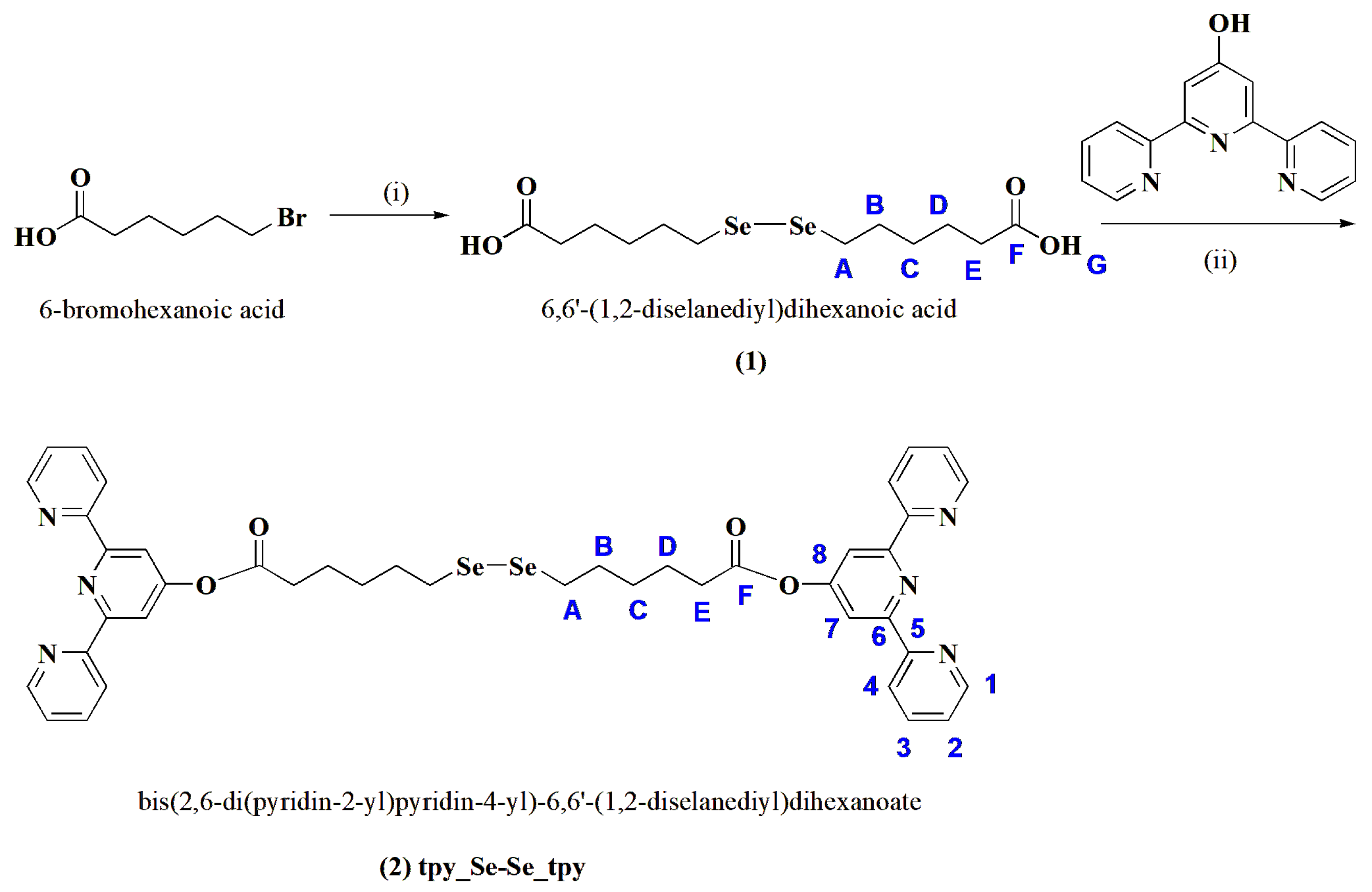 Molbank 2024 m1752 sch001