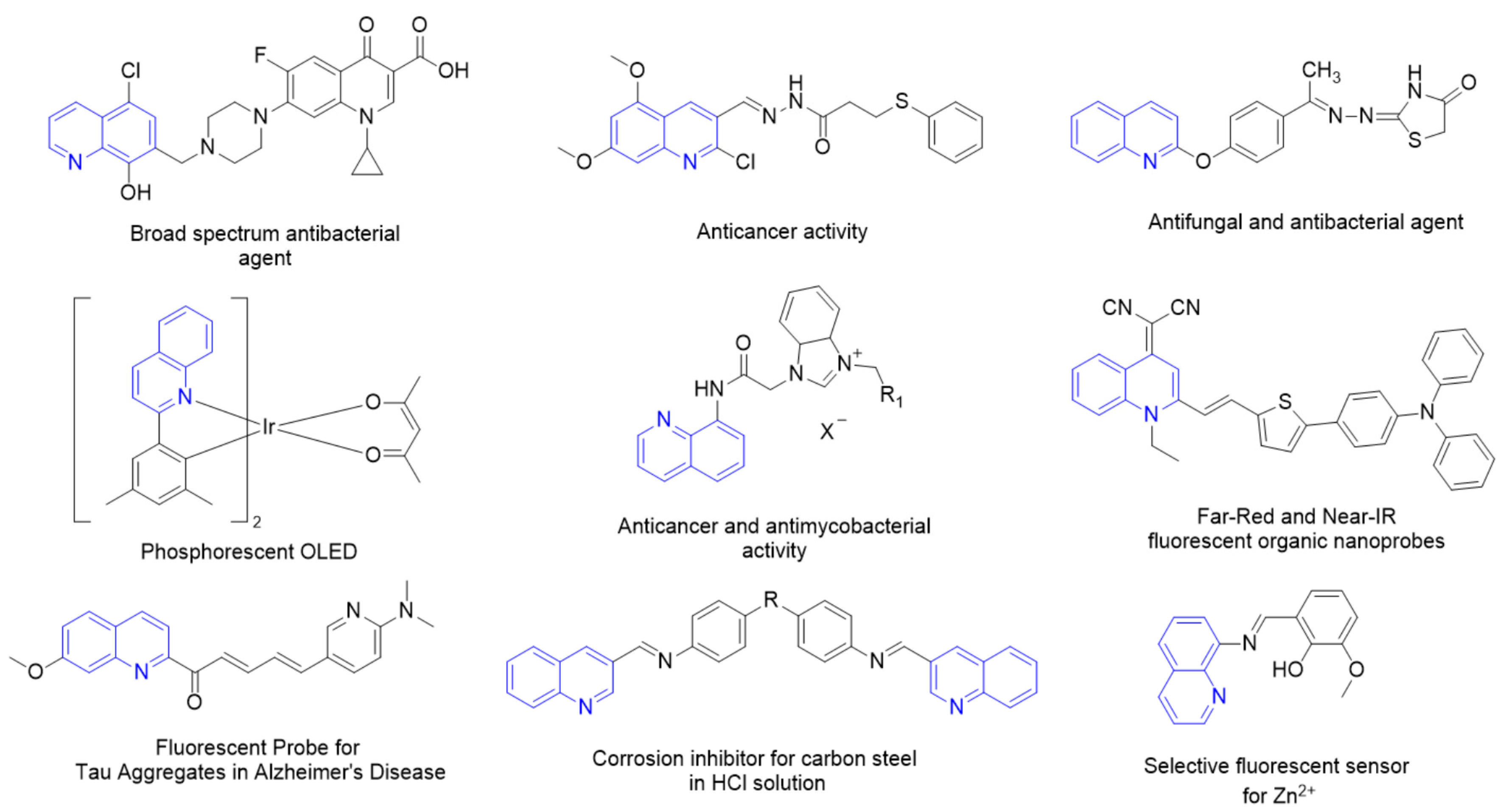 Molbank 2024 m1763 g001